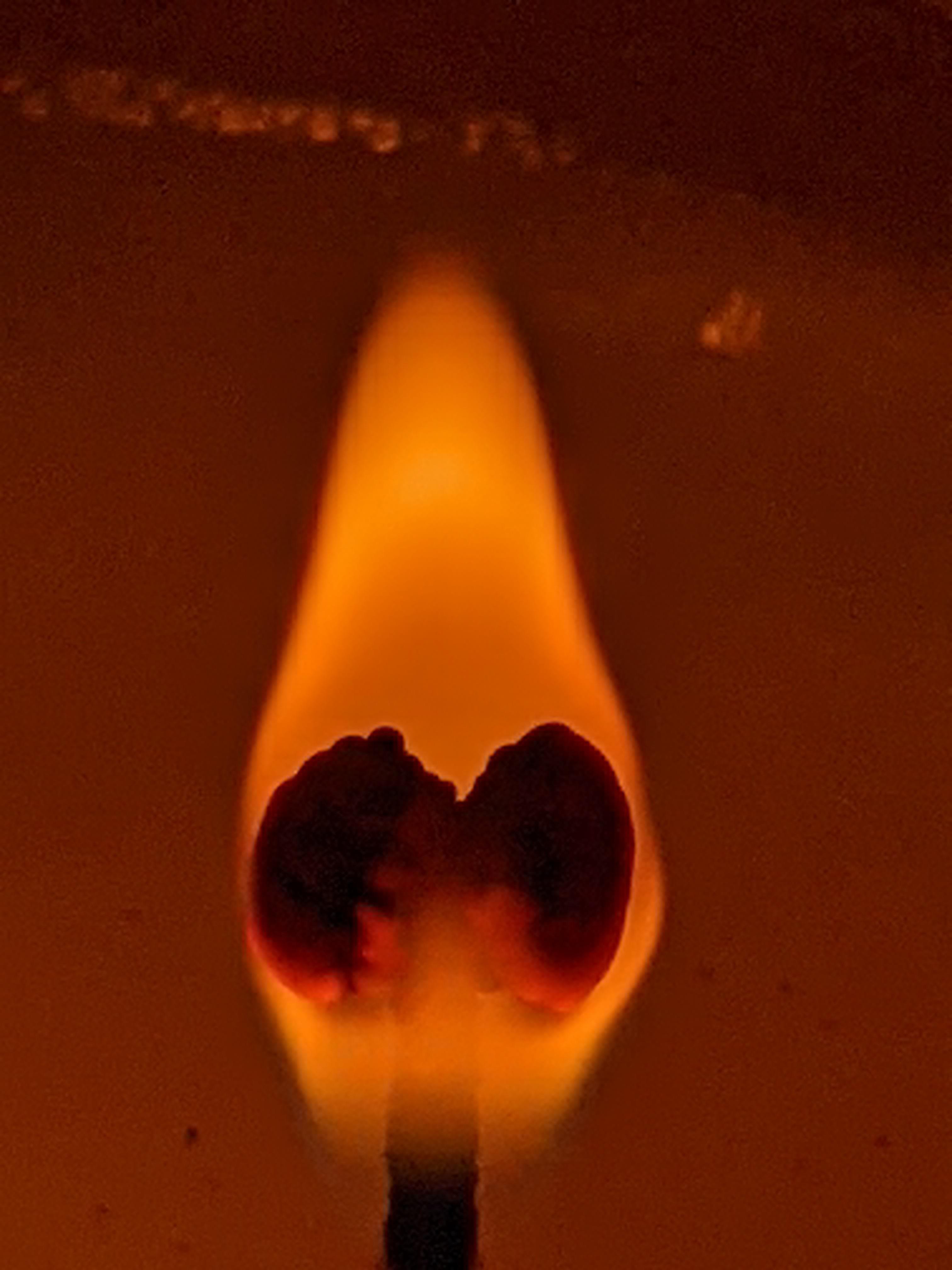 Picture of a flame on a candle that resembles lungs burning. r