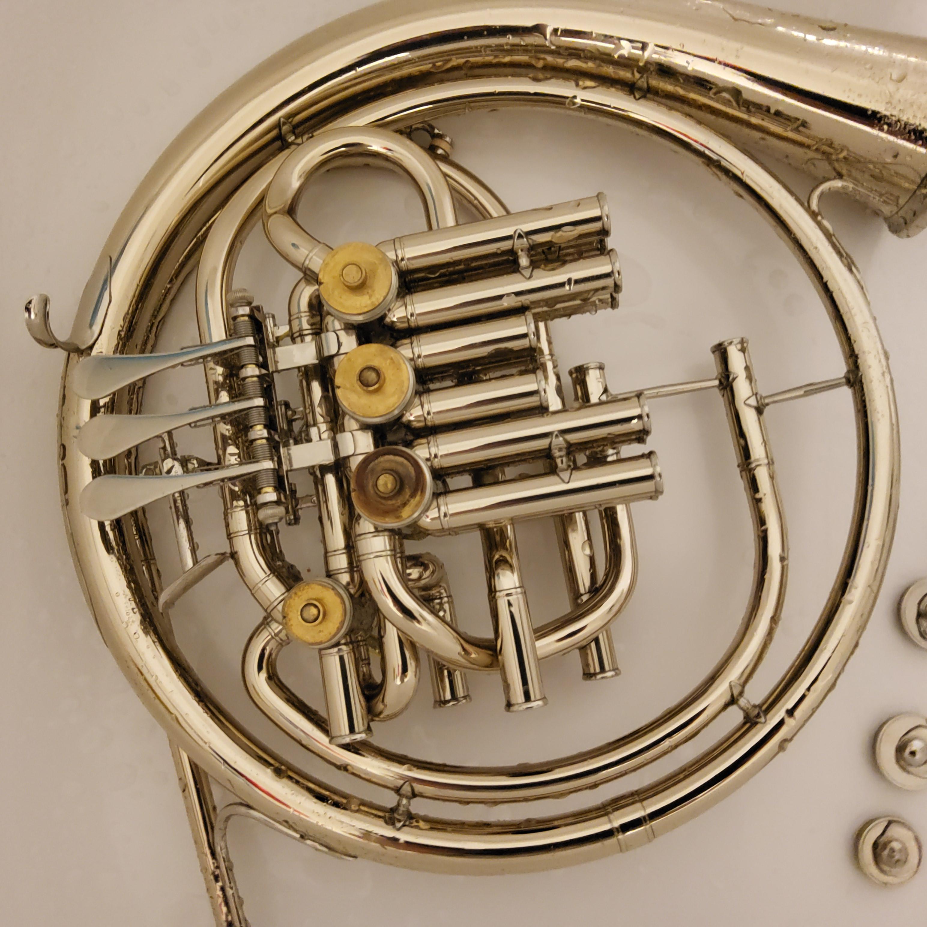 Does anyone know how to clean this? r/horn