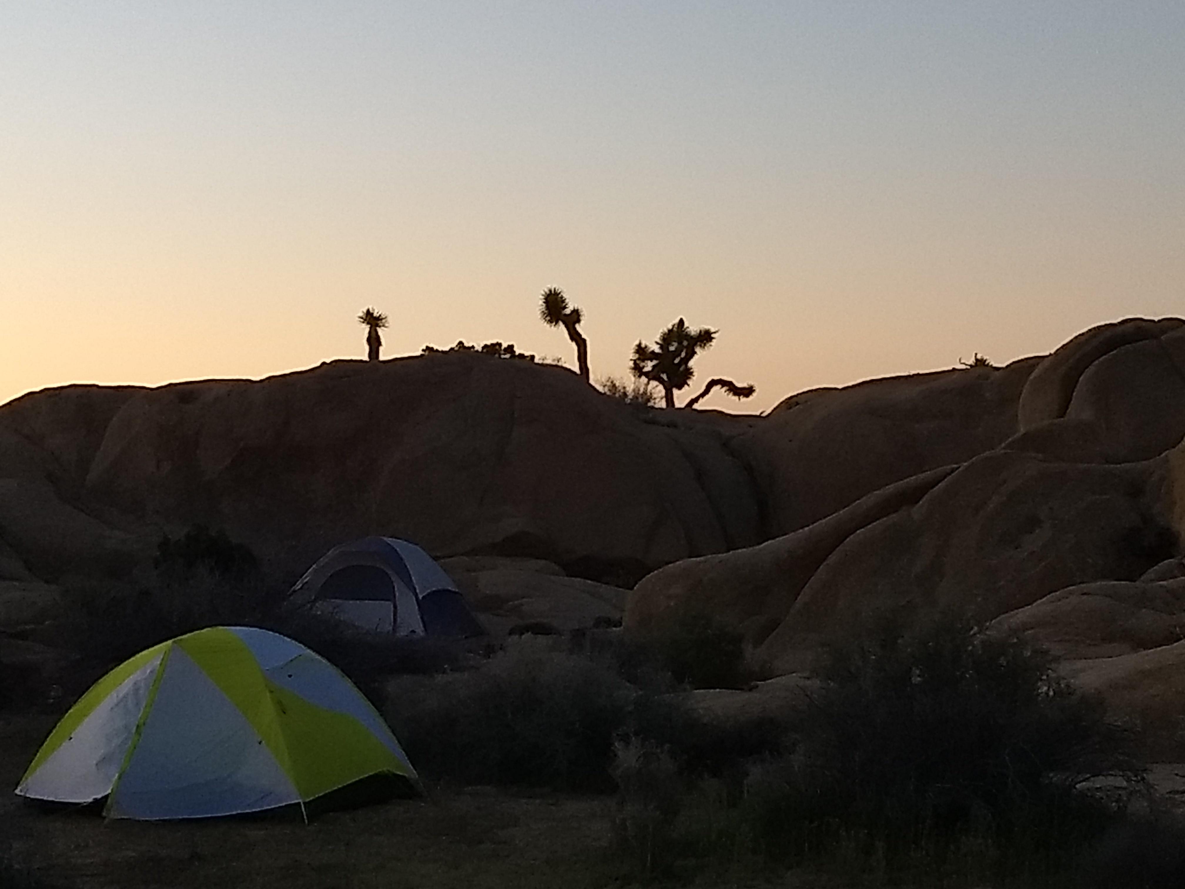 Amazing night in Joshua Tree National Park, backpacking off the Pine