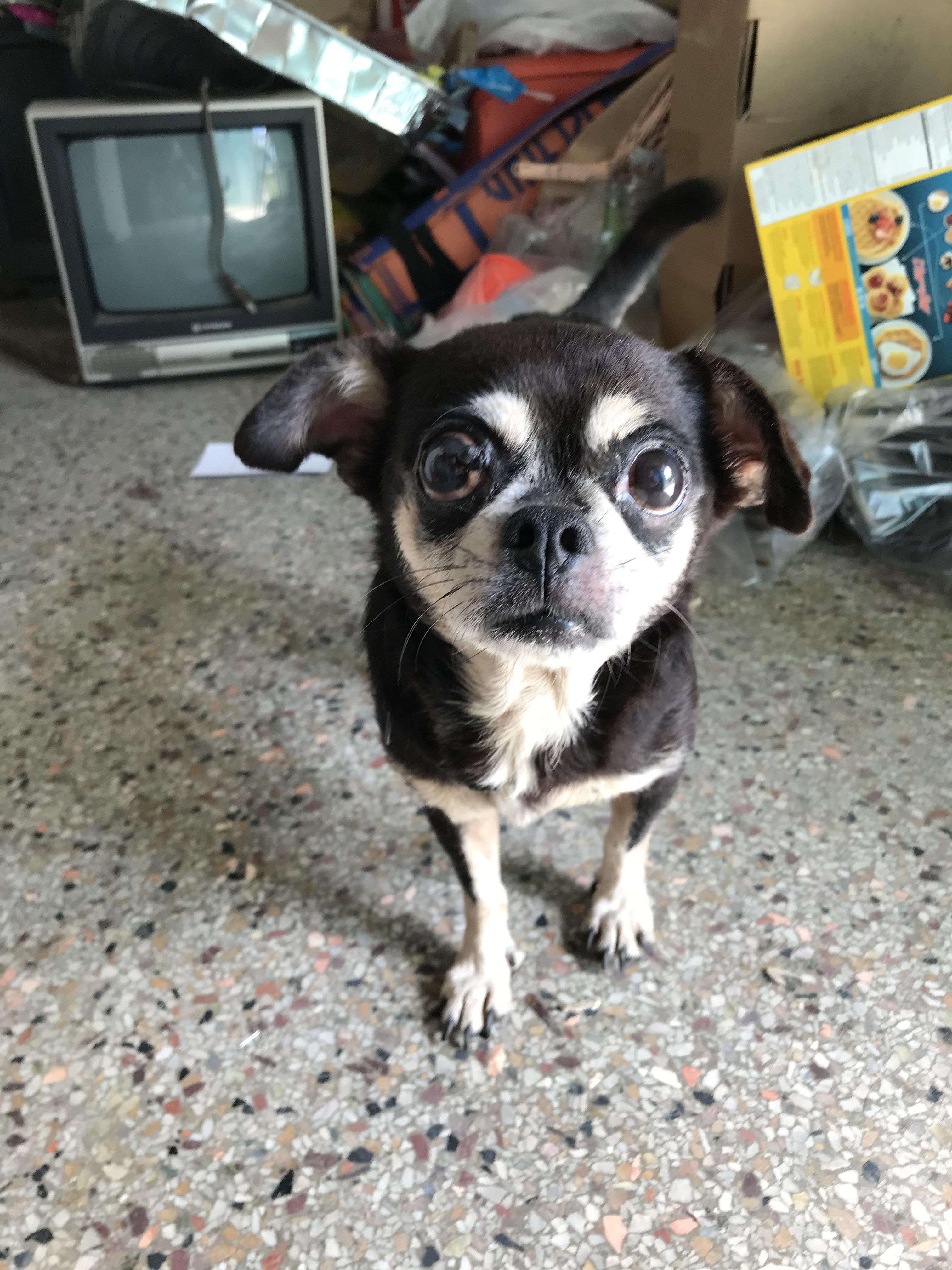 I help a sick mother to return home, she is 18 years old.