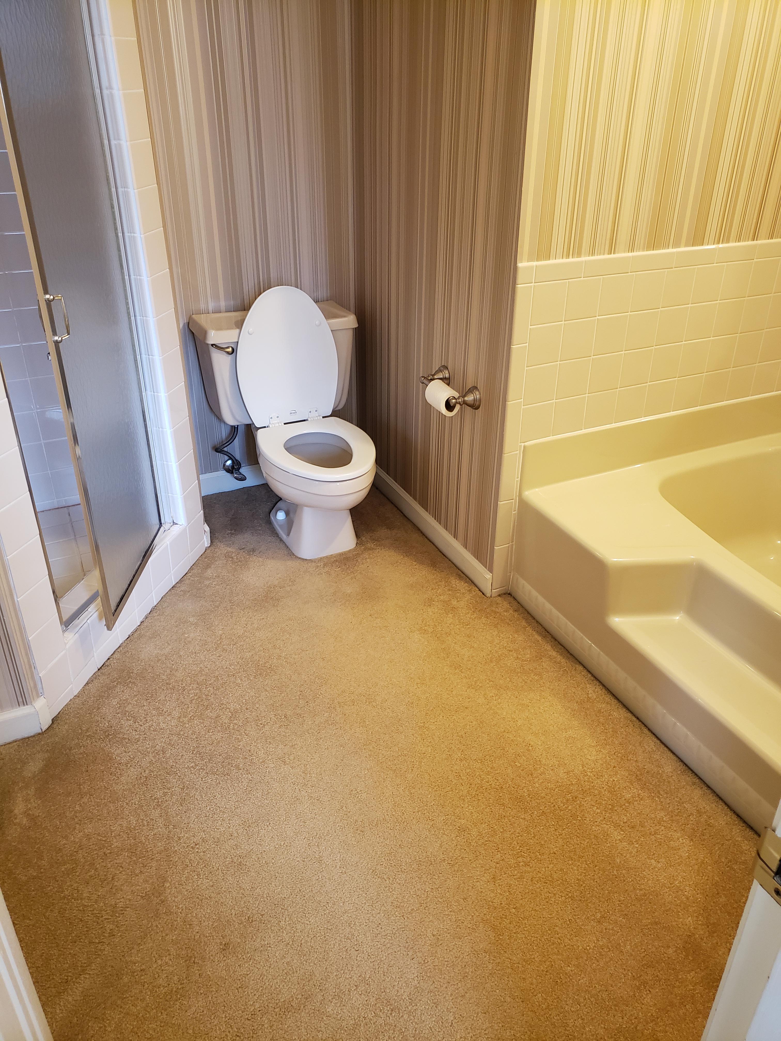 Fully carpeted bathroom r/DiWHY