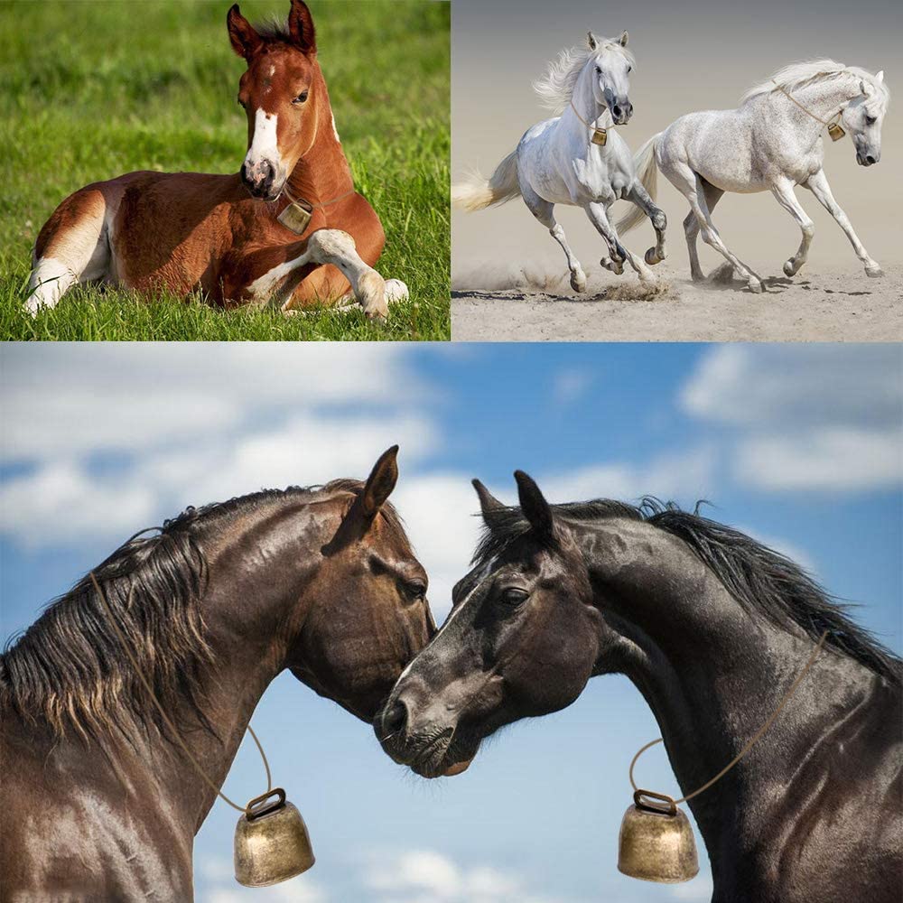 Was looking for cowbells on Amazon and saw this lovely photo for some