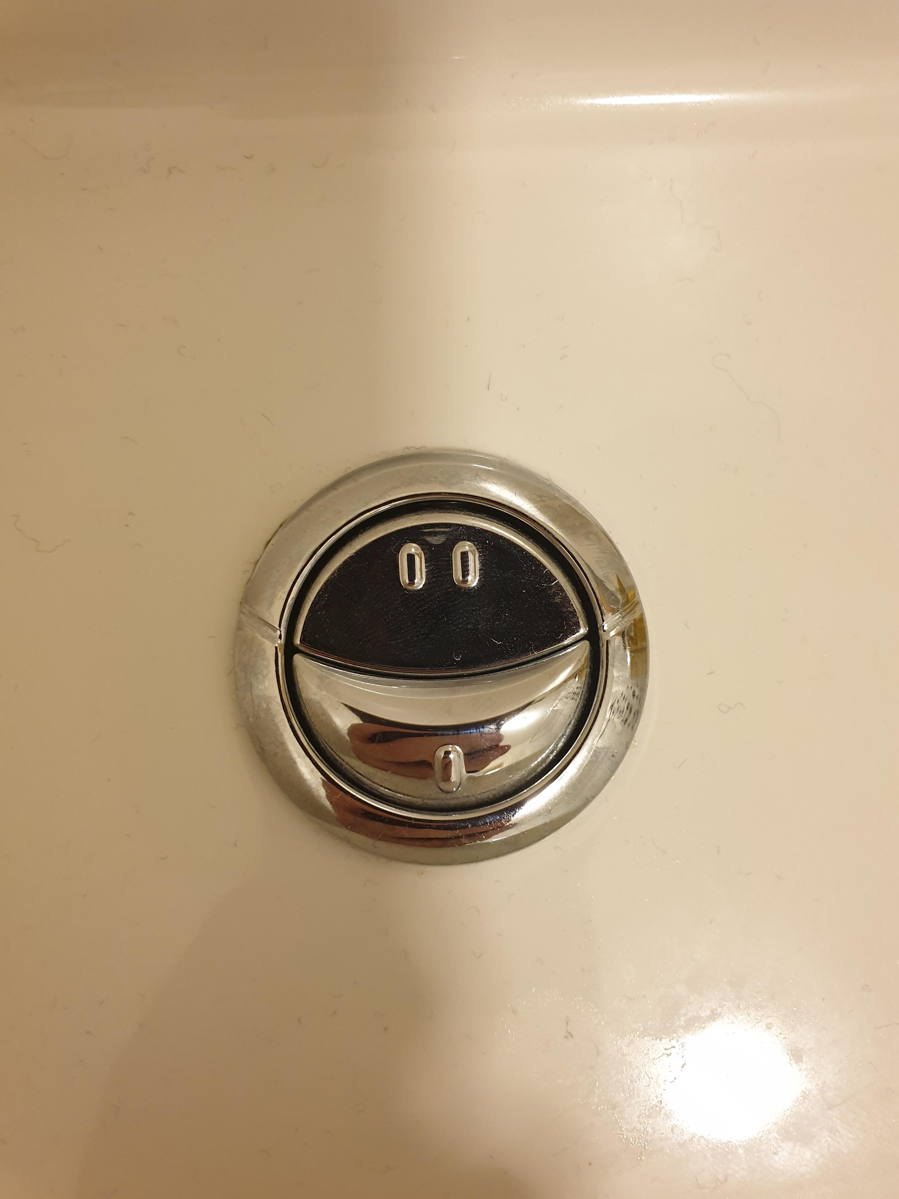 This toilet button, with a 1 & 2, telling you which and to press and