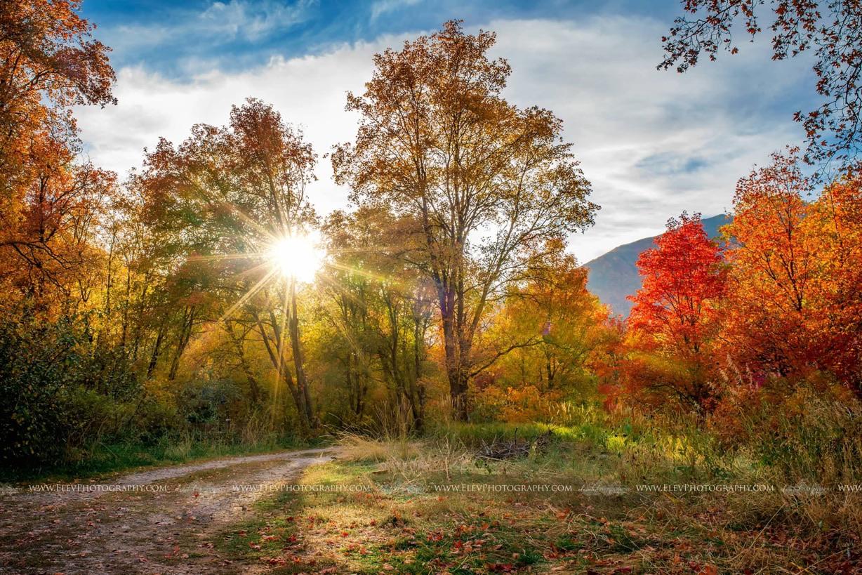 Fall in Hobble Creek Canyon! r/Utah