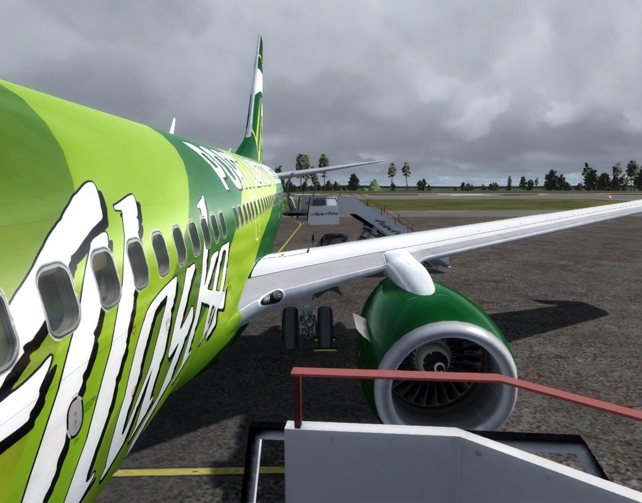 On the ground at Dillingham, Alaska. r/flightsim