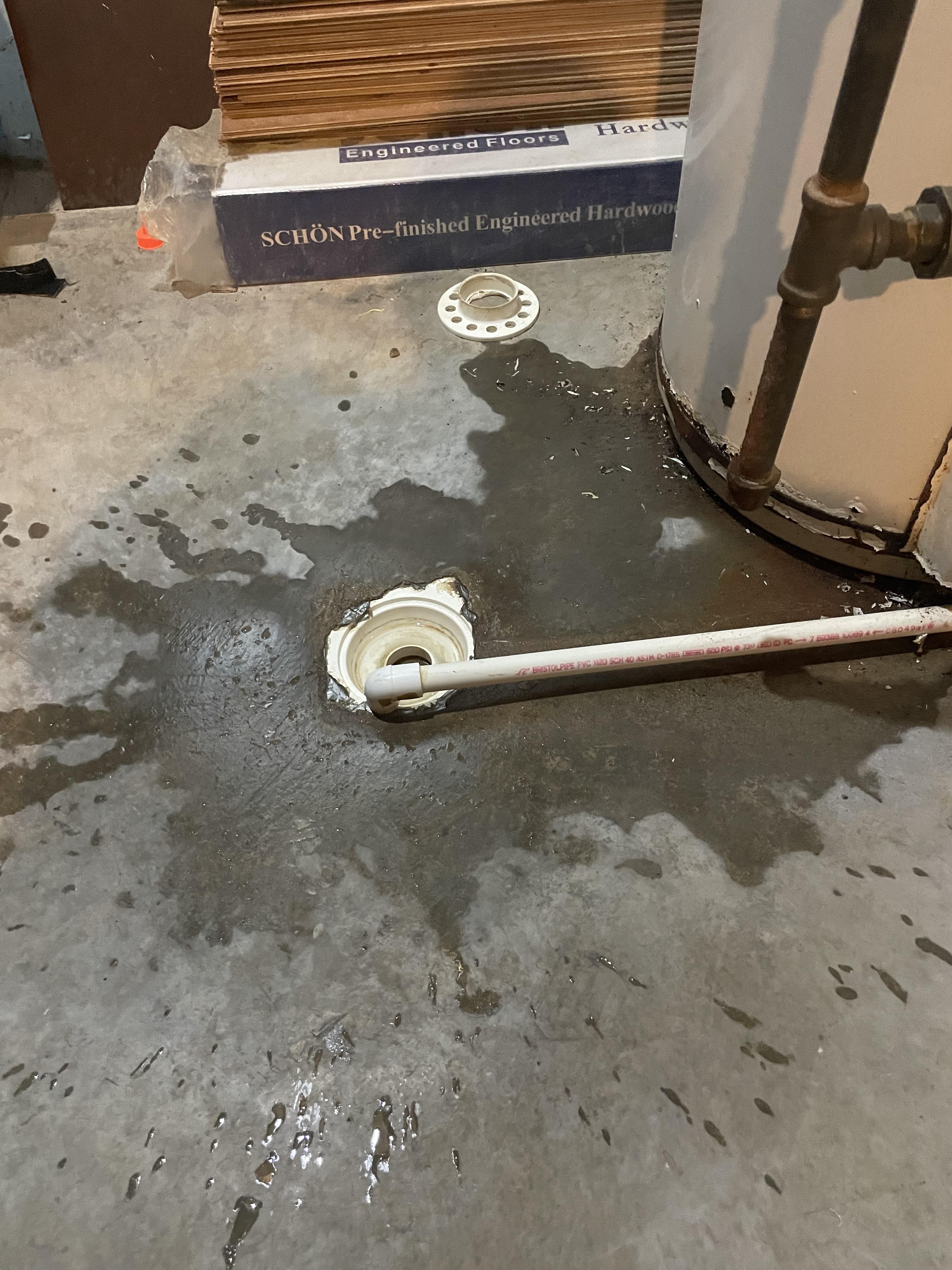 Where does my basement drain for condensate most likely go? Main drain