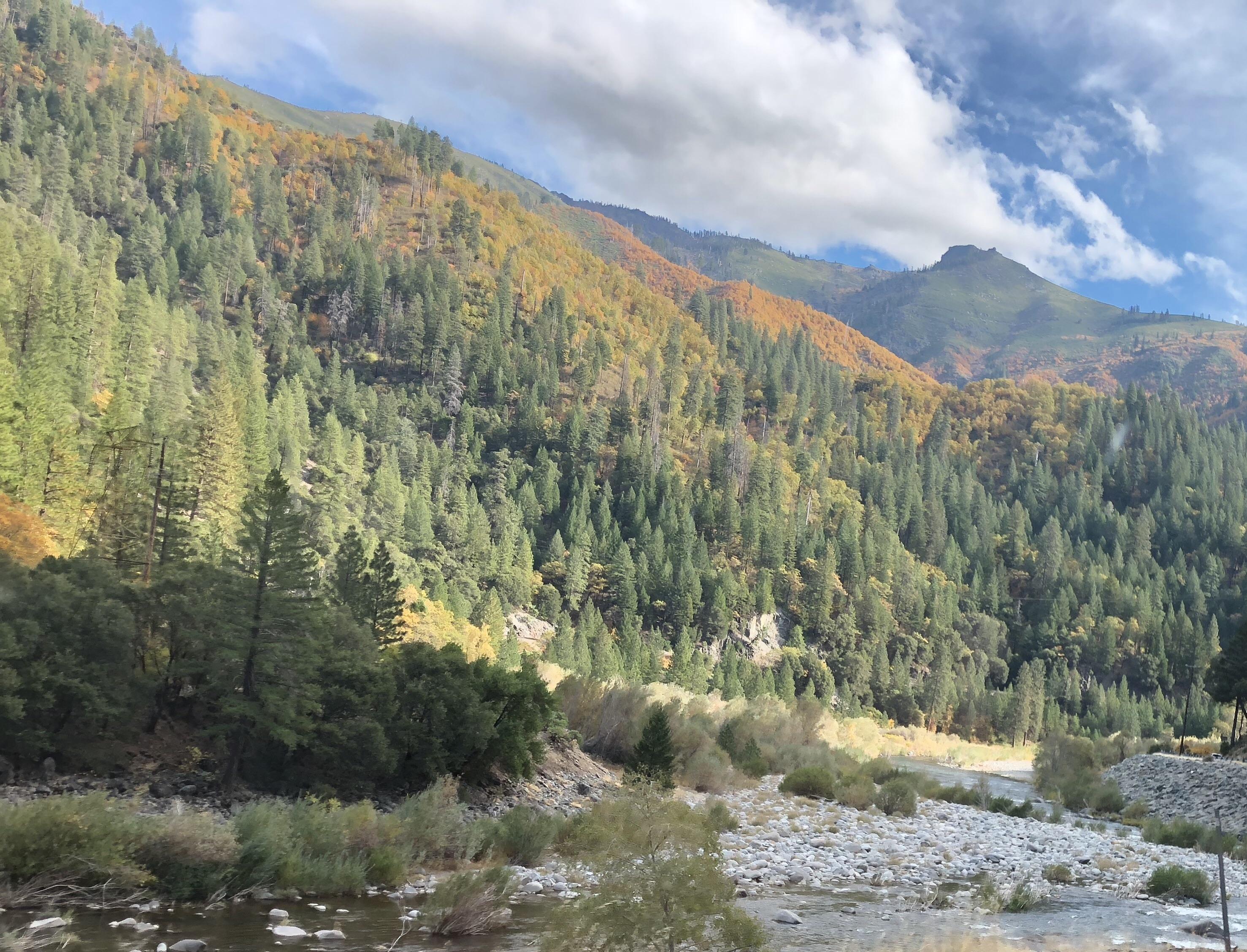 The drive through the Feather River Canyon (HWY 70) r/CaliforniaPics