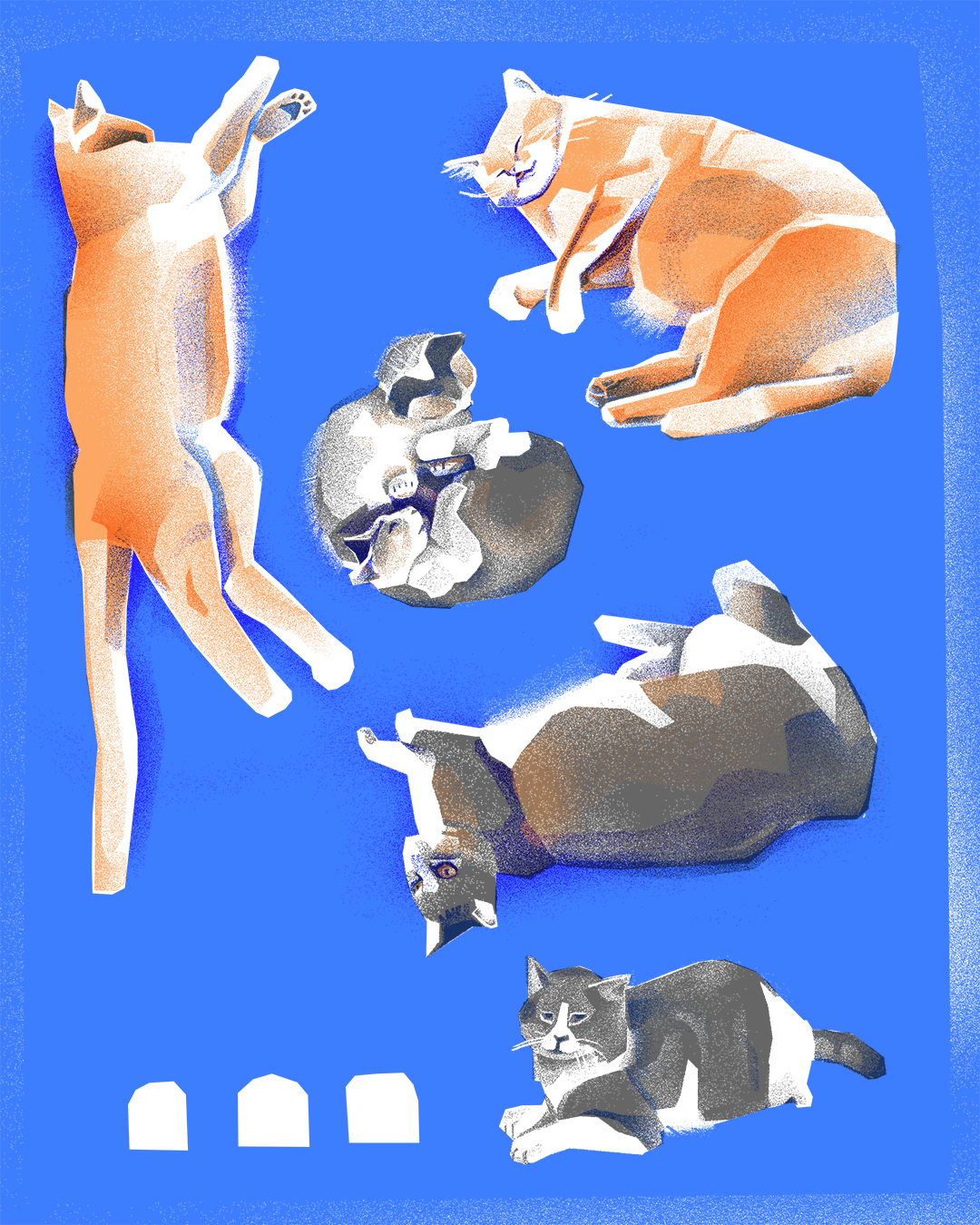 Street cats in Istanbul, illustrated by me digitally, 2023 r/Illustration