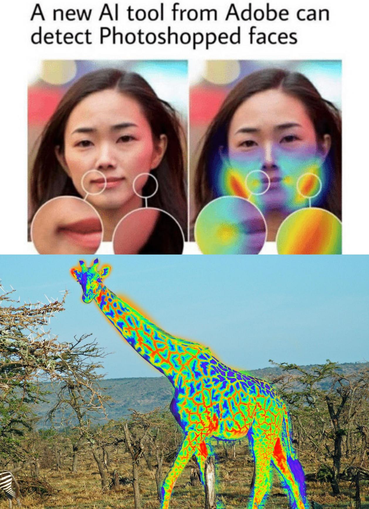 2946 best Detector images on Pholder Shitty Life Pro Tips, Stalker