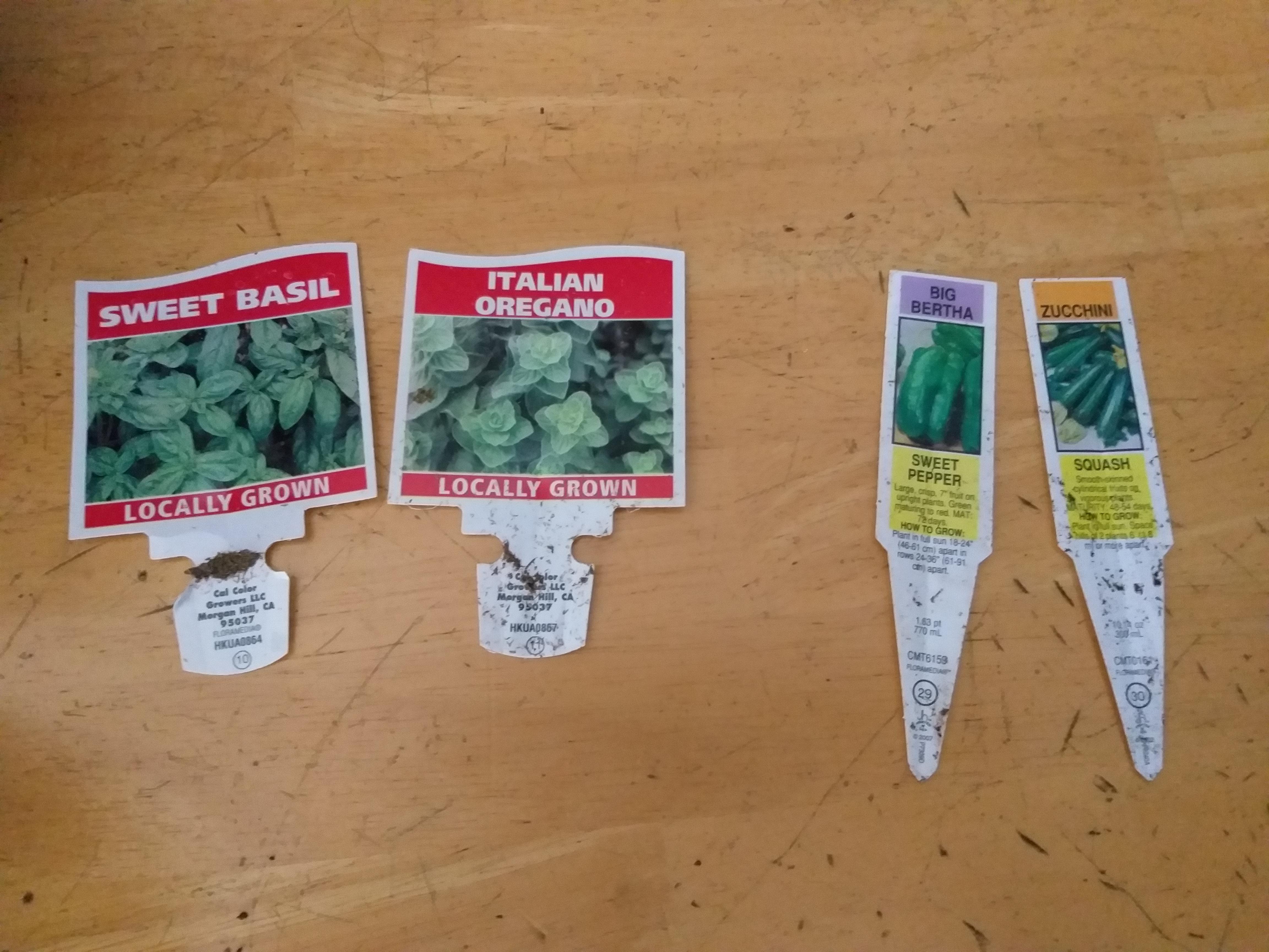 Lesson learned! Always read the WHOLE tag. Plants tagged 'Locally Grown