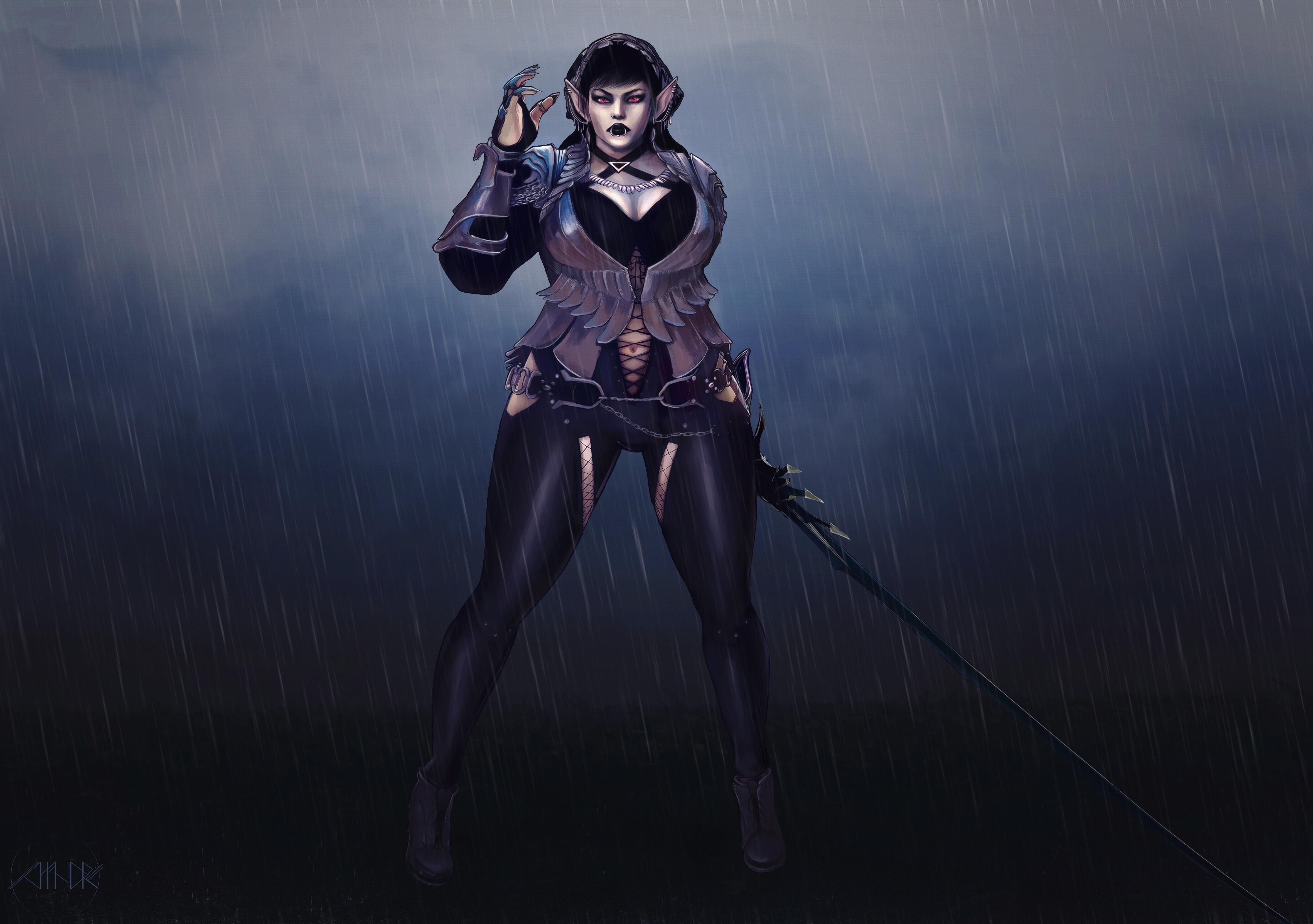 BDO Dark Knight digital painting commission