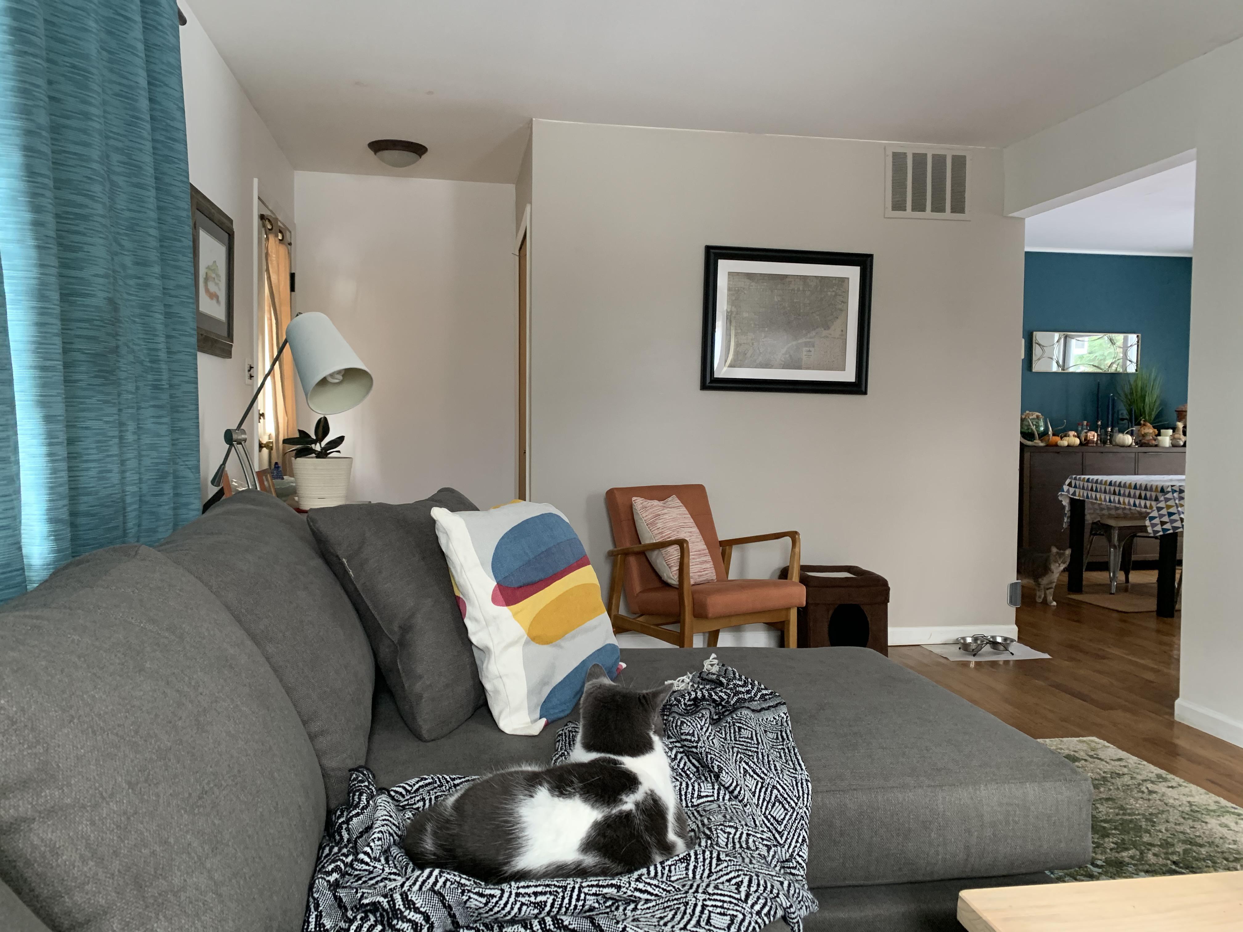 New couch was delivered today and the living room is coming together