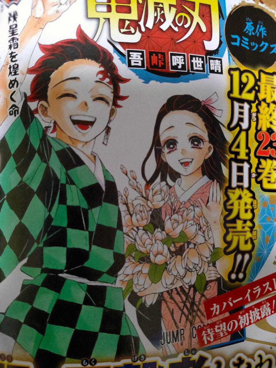 Kimetsu no Yaiba Final Volume 23 Cover (LQ) manga