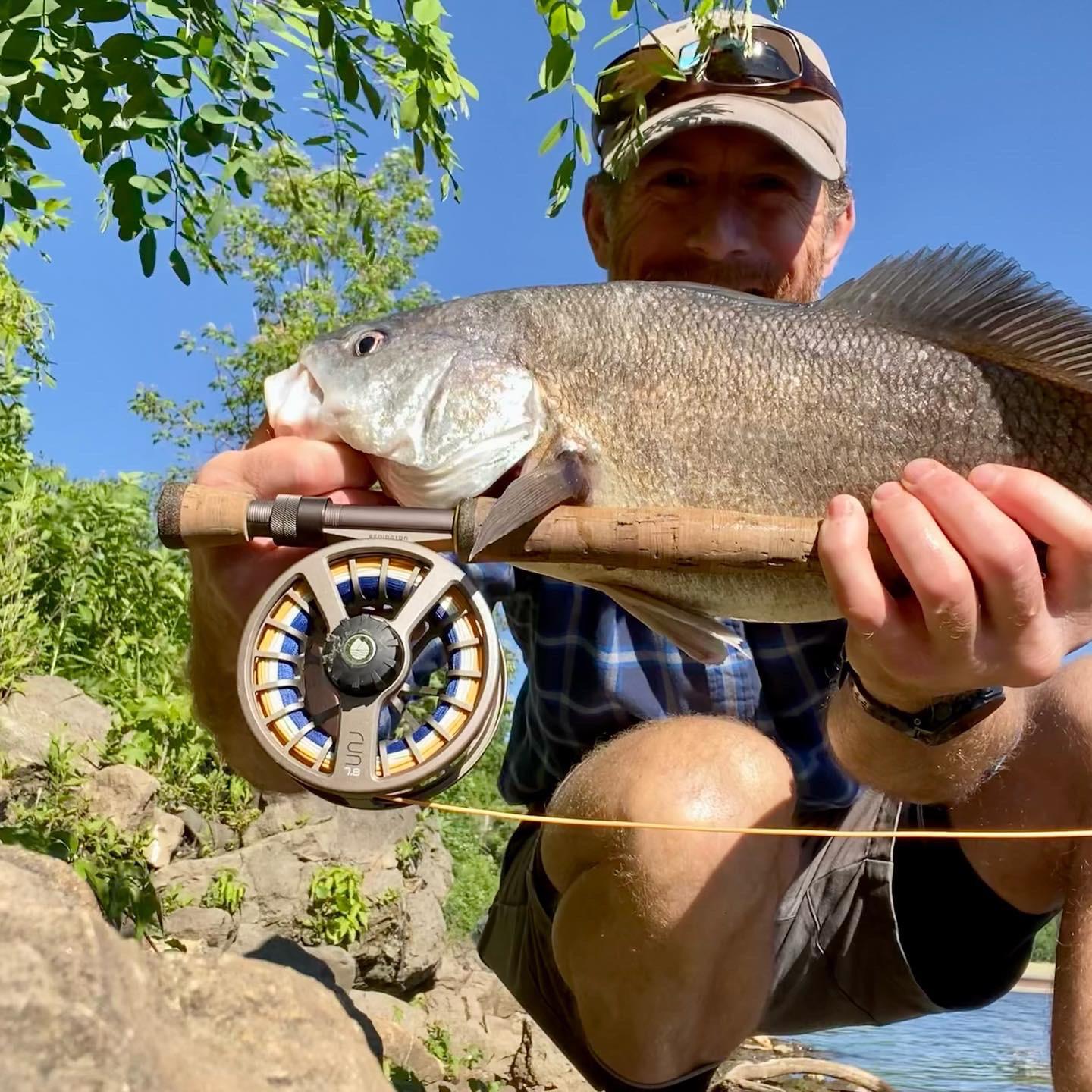 Mississippi River freshwater drum from last week. r/flyfishing
