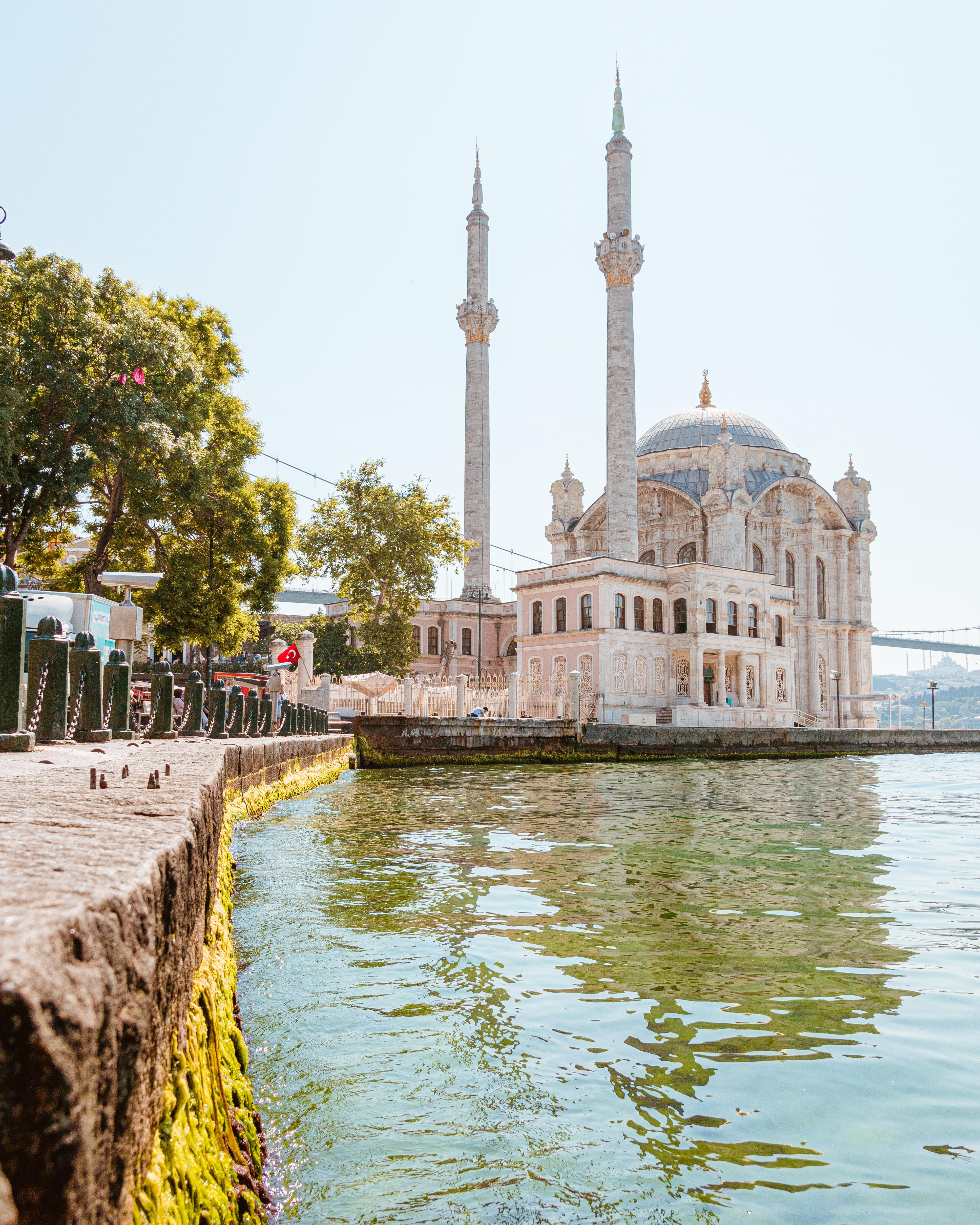 Reddit Dive into anything