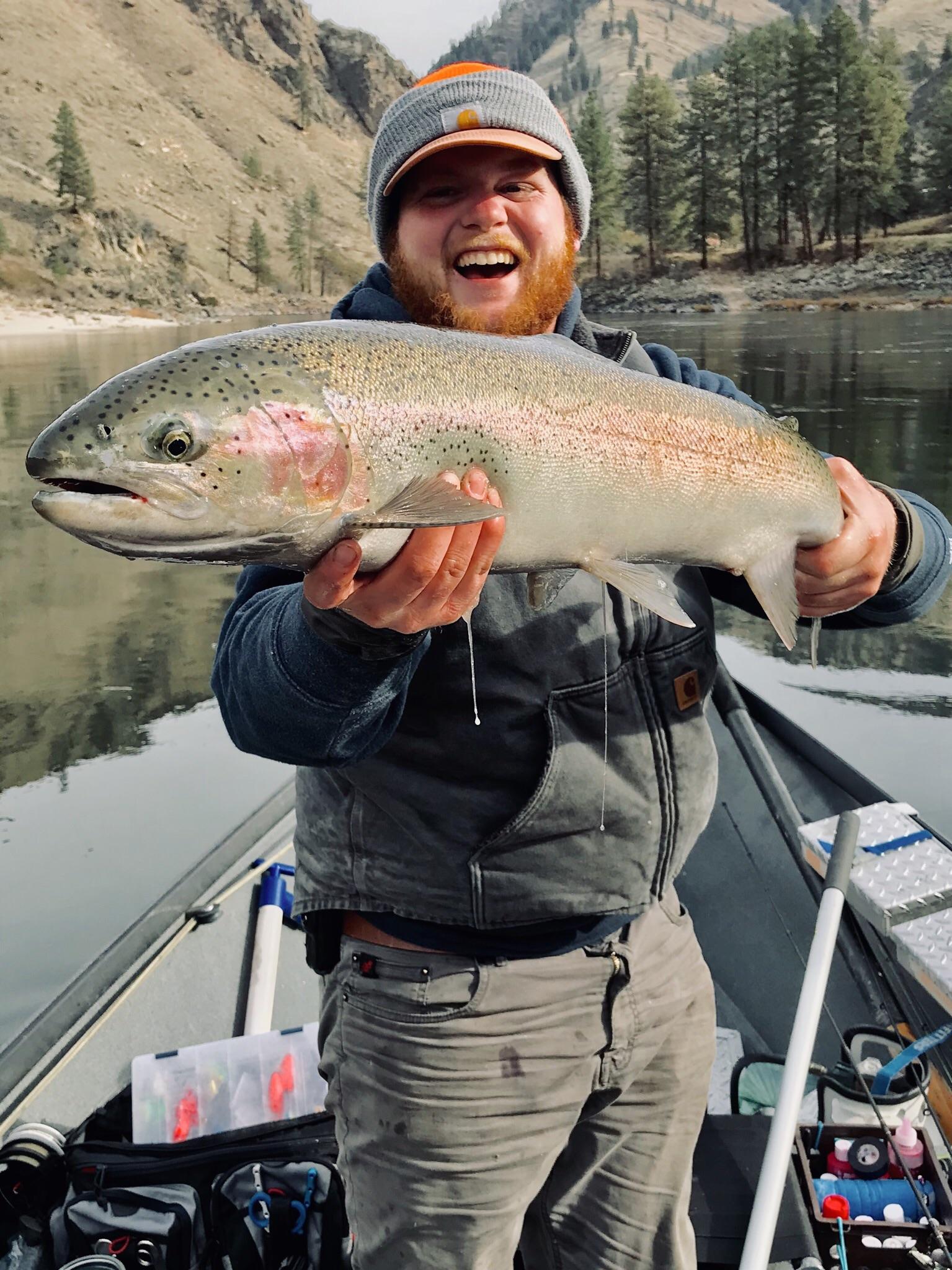 B Run Beauty Salmon River Steelhead, Idaho r/Fishing