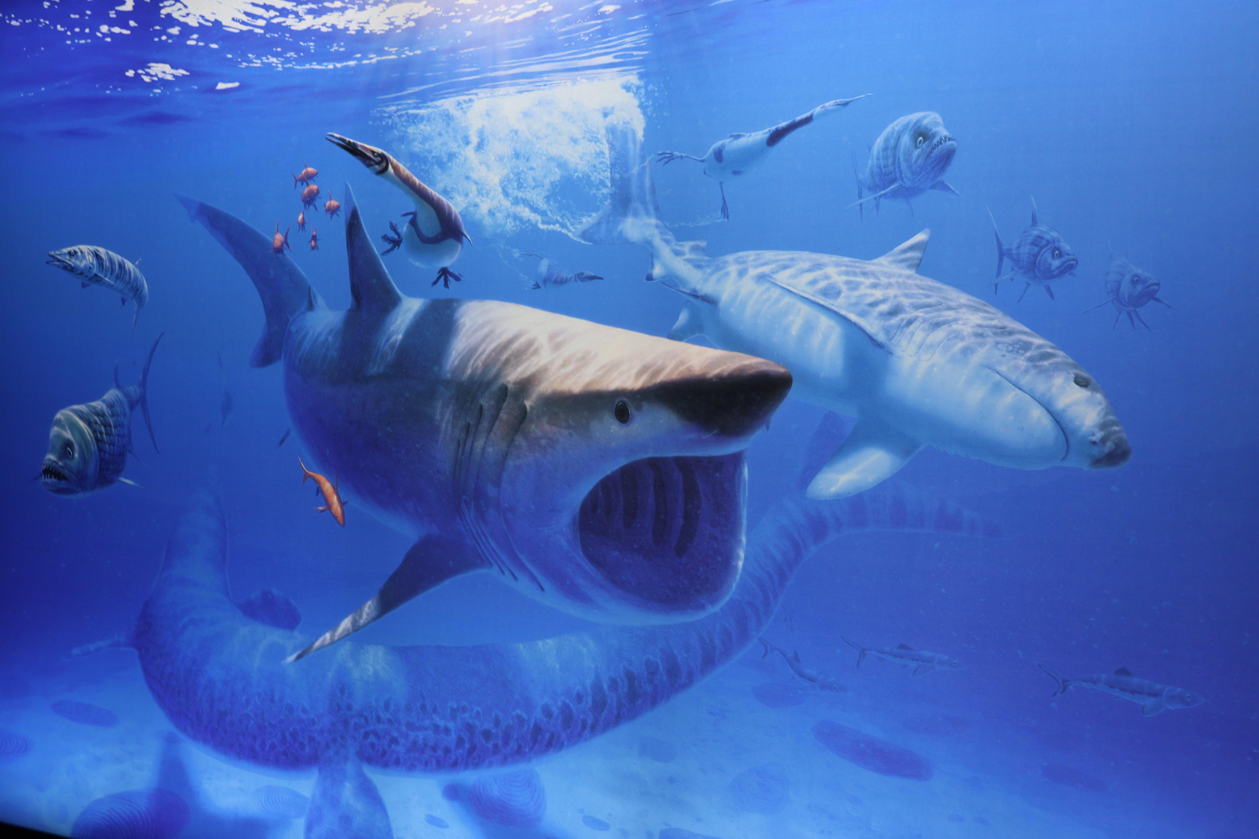 overview for itsyaboi_Screech