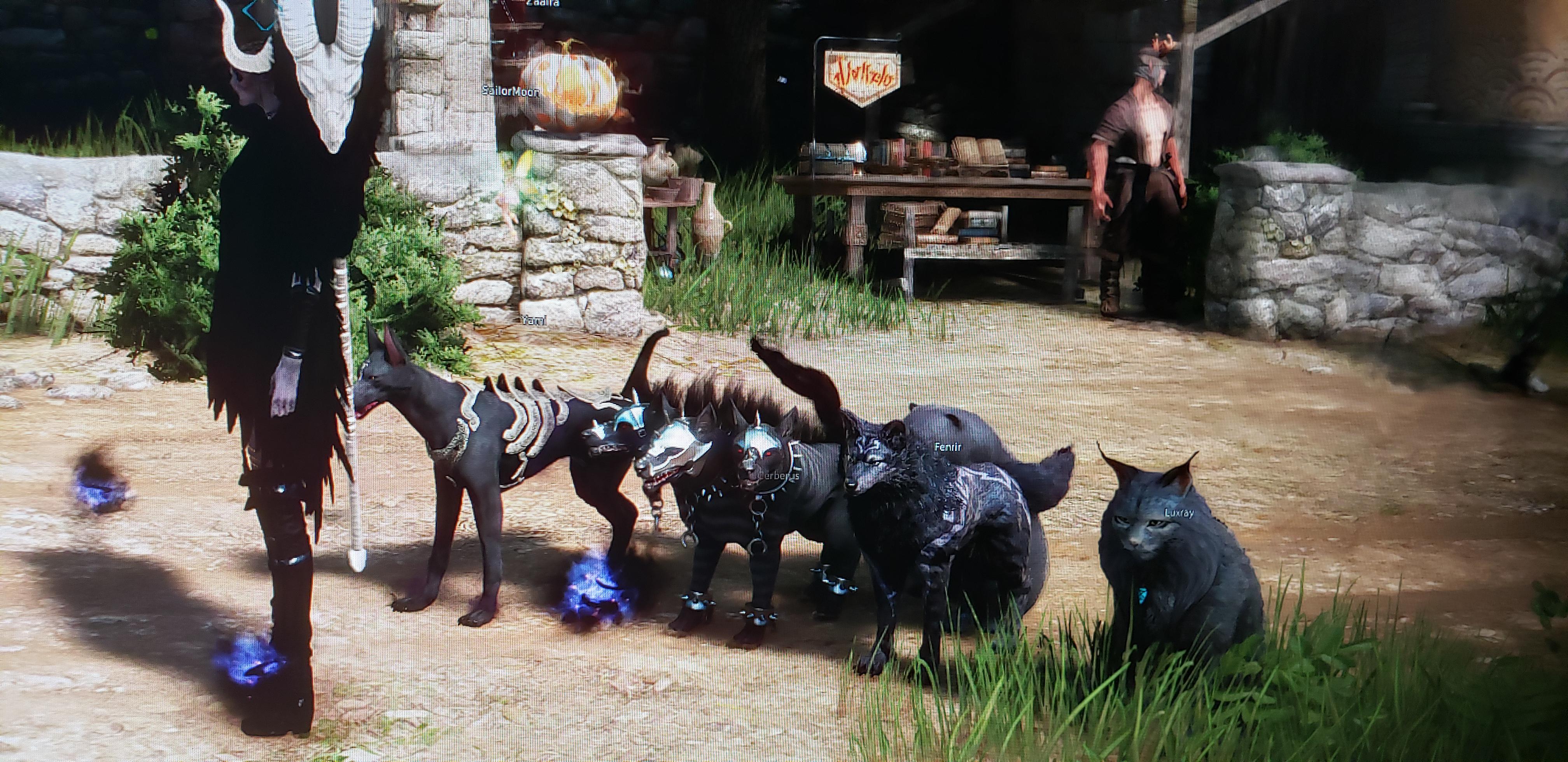 I finally got the shadow wolf from the log in event and instantly got