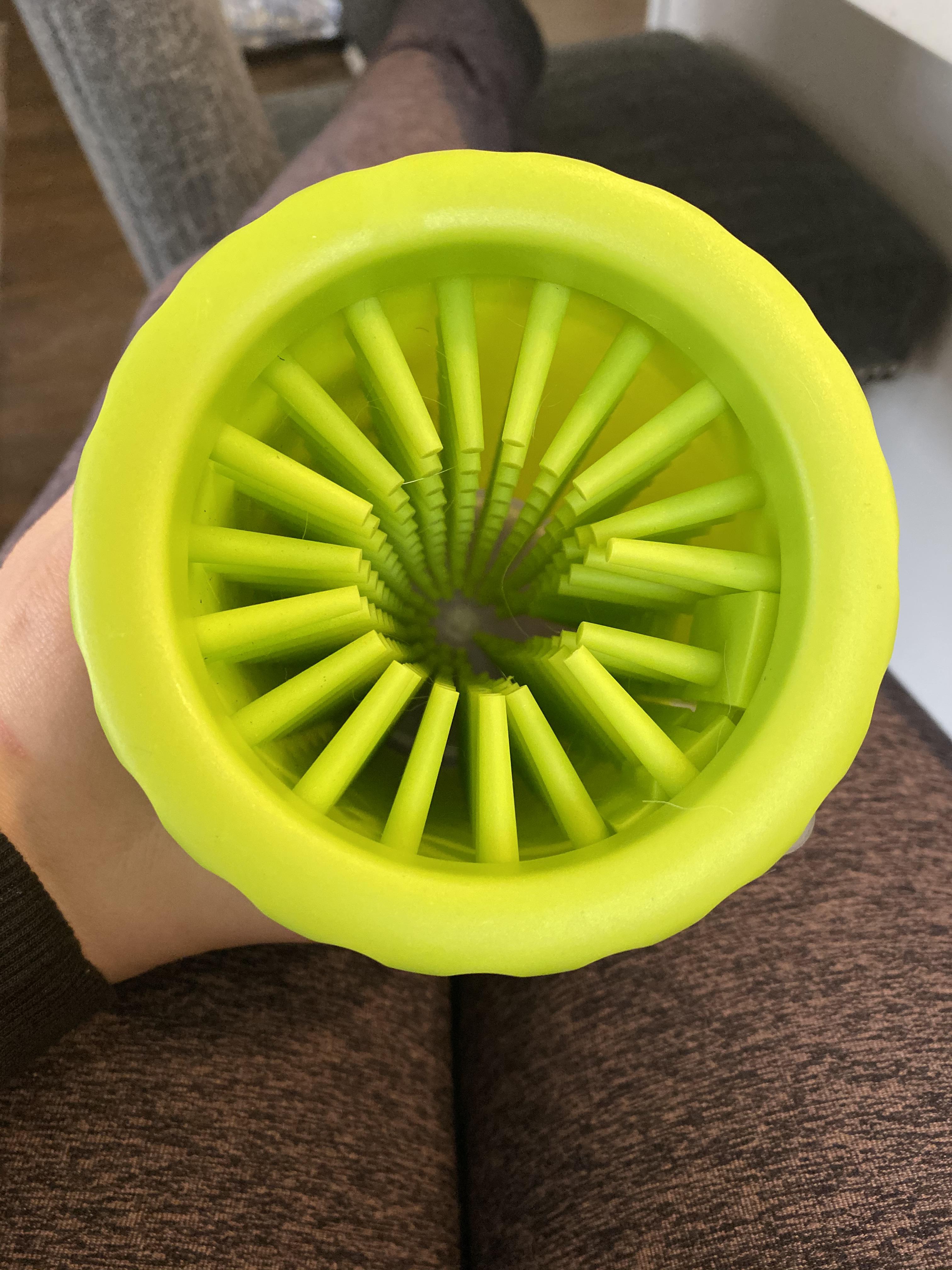 This dog paw cleaner r/PutUrDickInPawCleaner