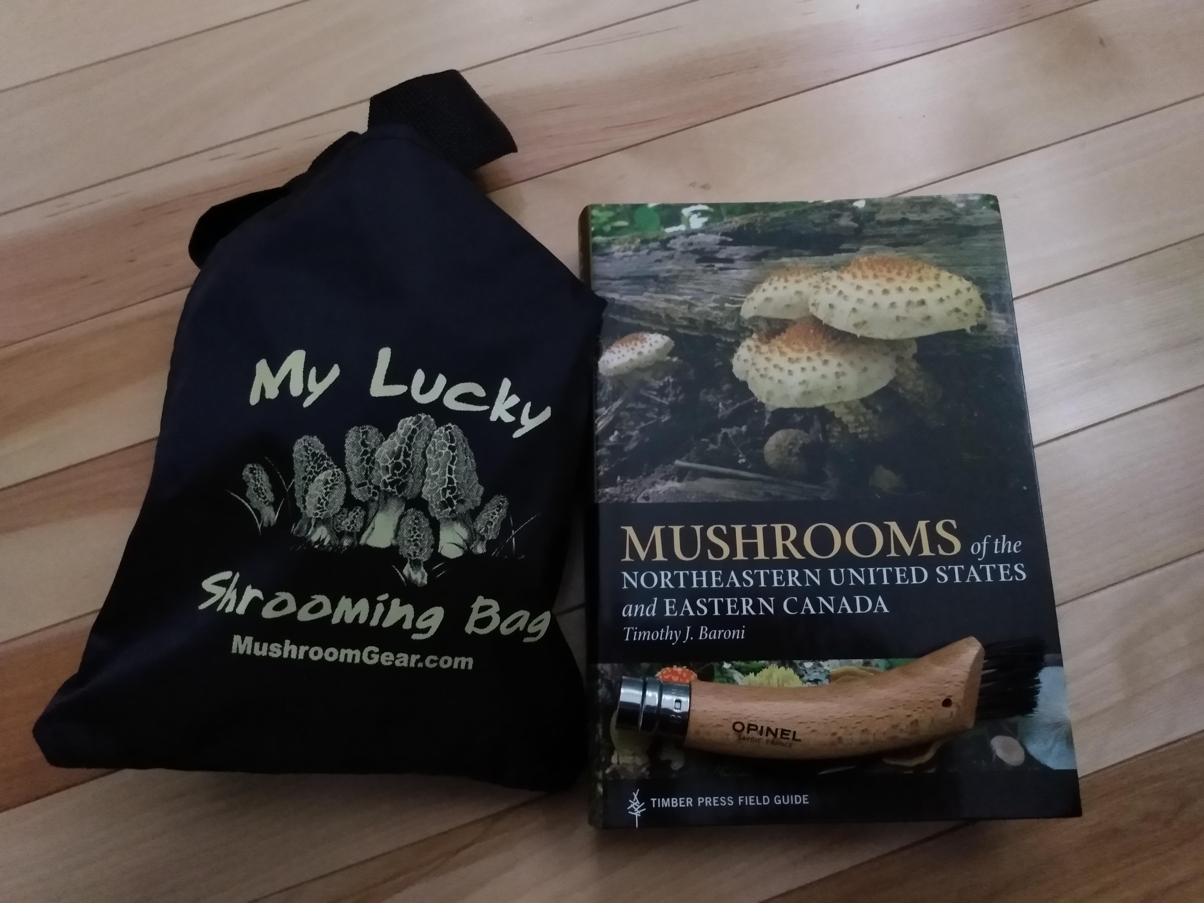 Started mushroom foraging this summer and I got some awesome Christmas