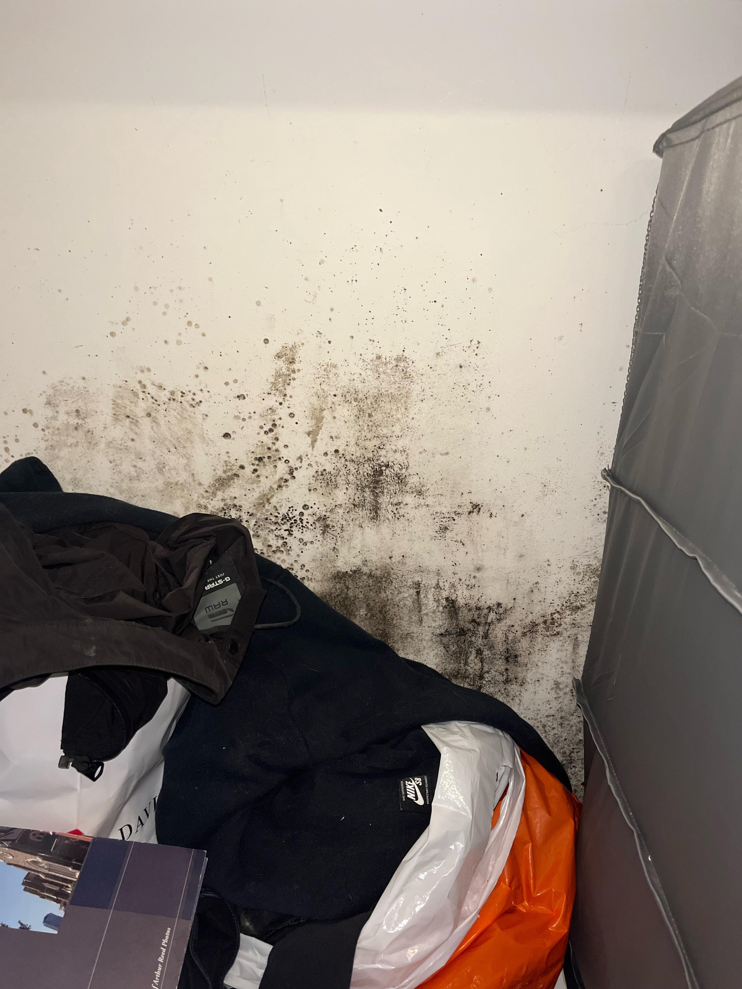 can i wash clothes that have black mould on them? r/CleaningTips