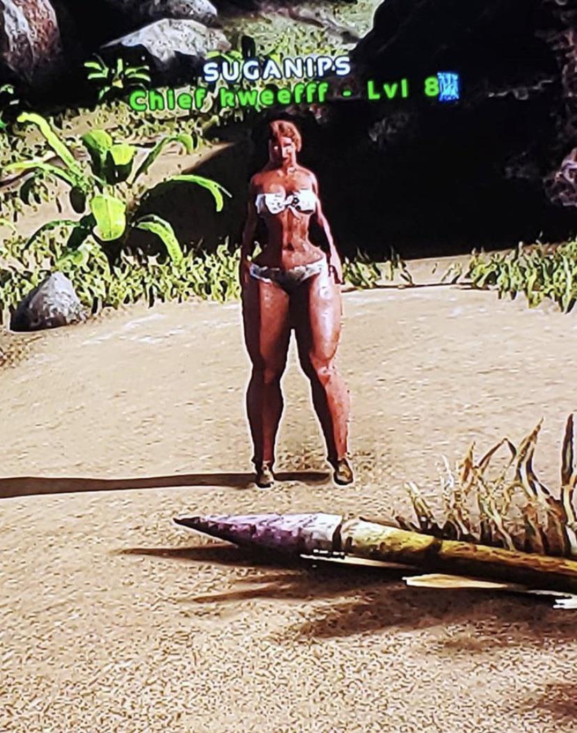 Chief Kweef stupid thicc : ARK