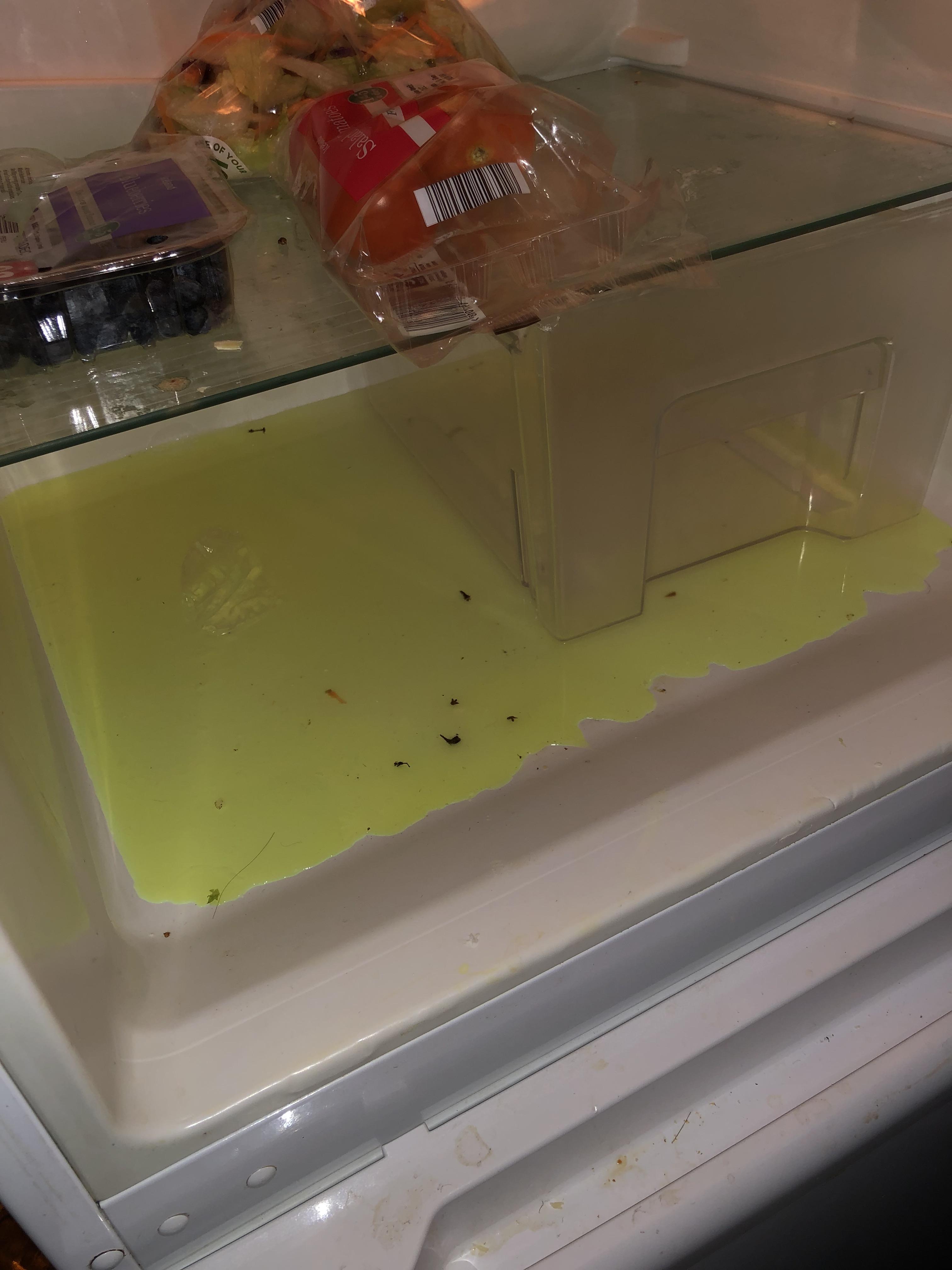 Yellow liquid stuff at the bottom of our fridge. No obvious food/drink