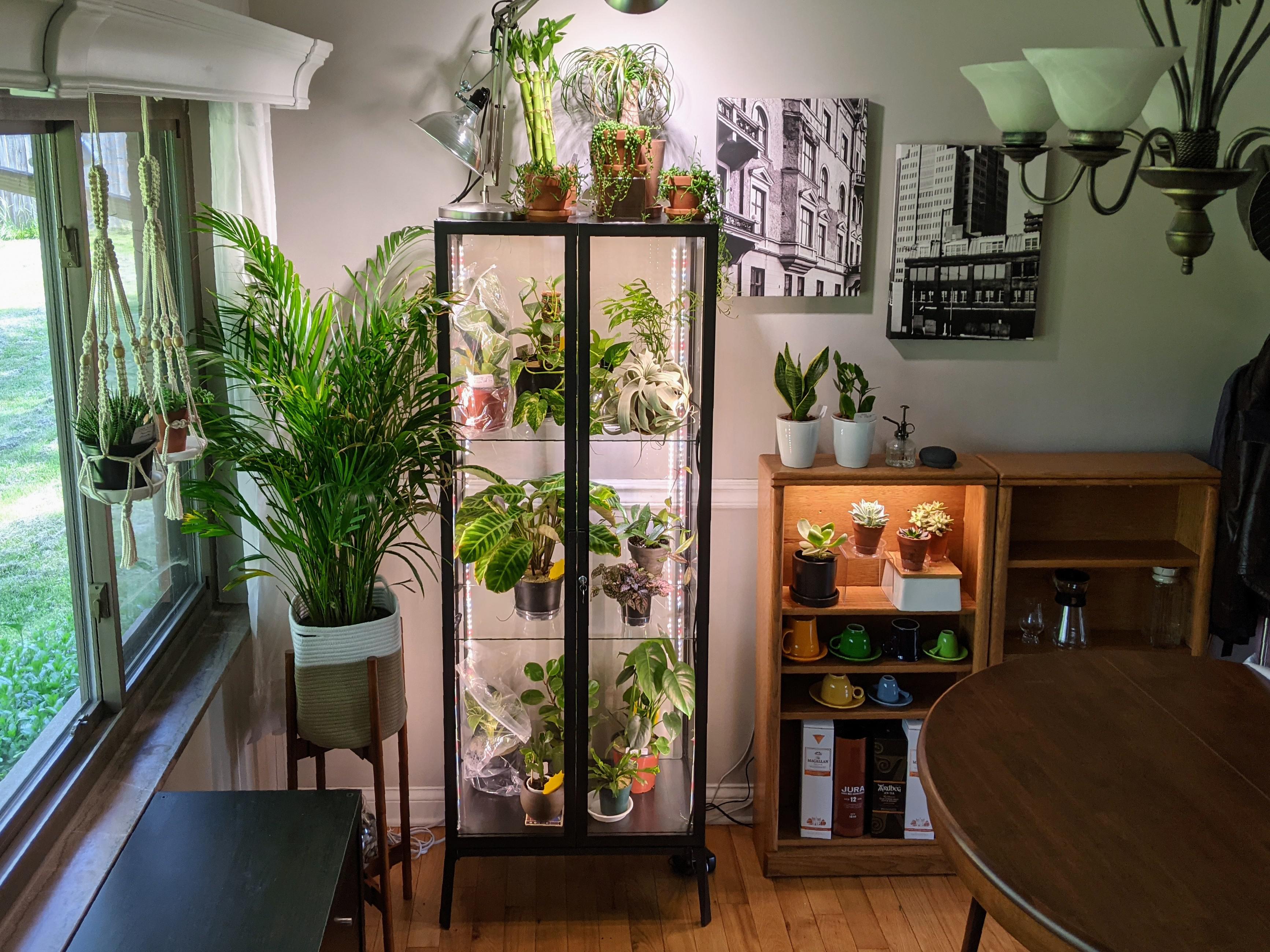 Ikea Milsbo. Installed some grow lights. Cats and plants can now co