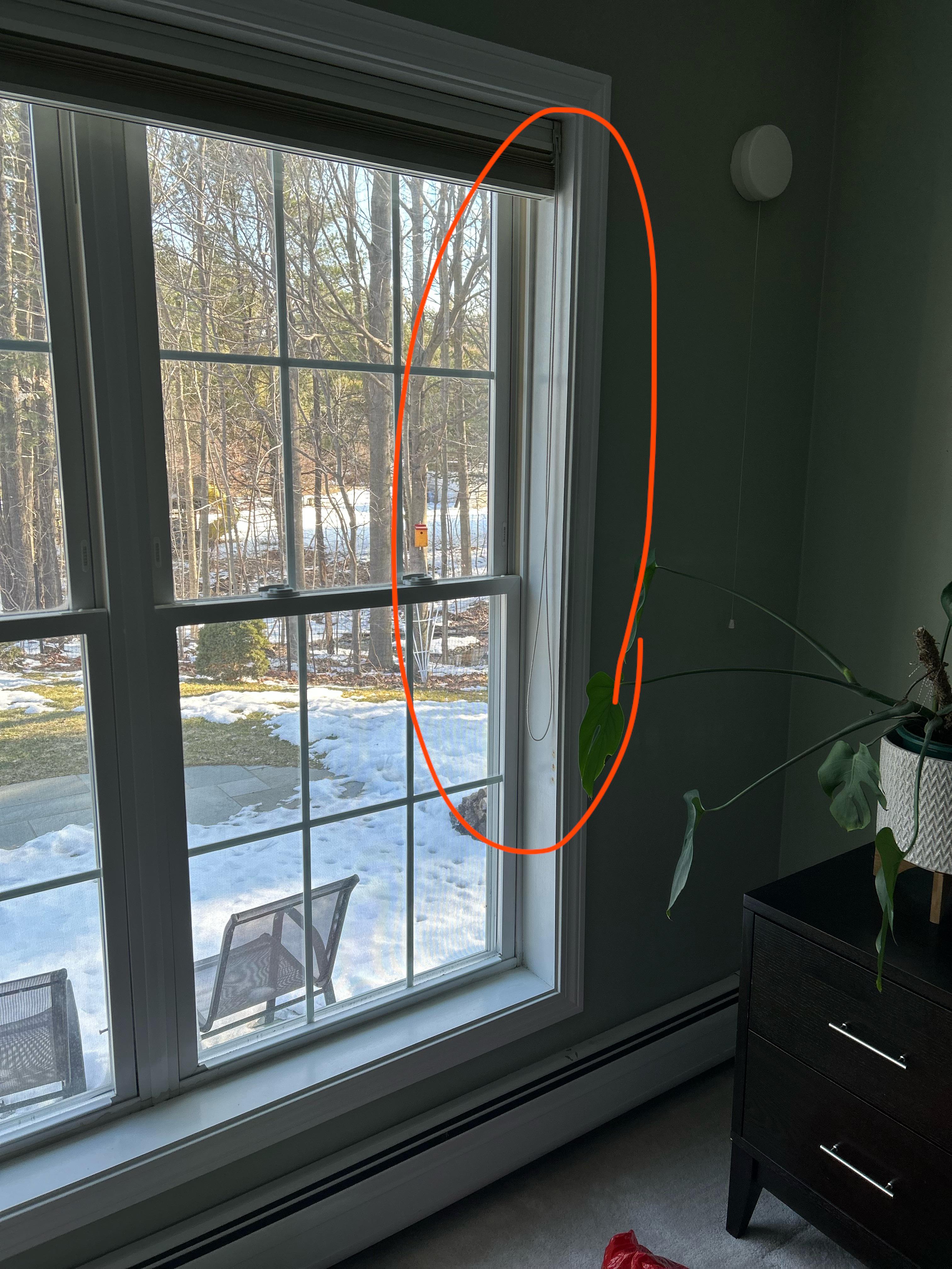 Is this cord for a window blind dangerous for children? (Trying to see
