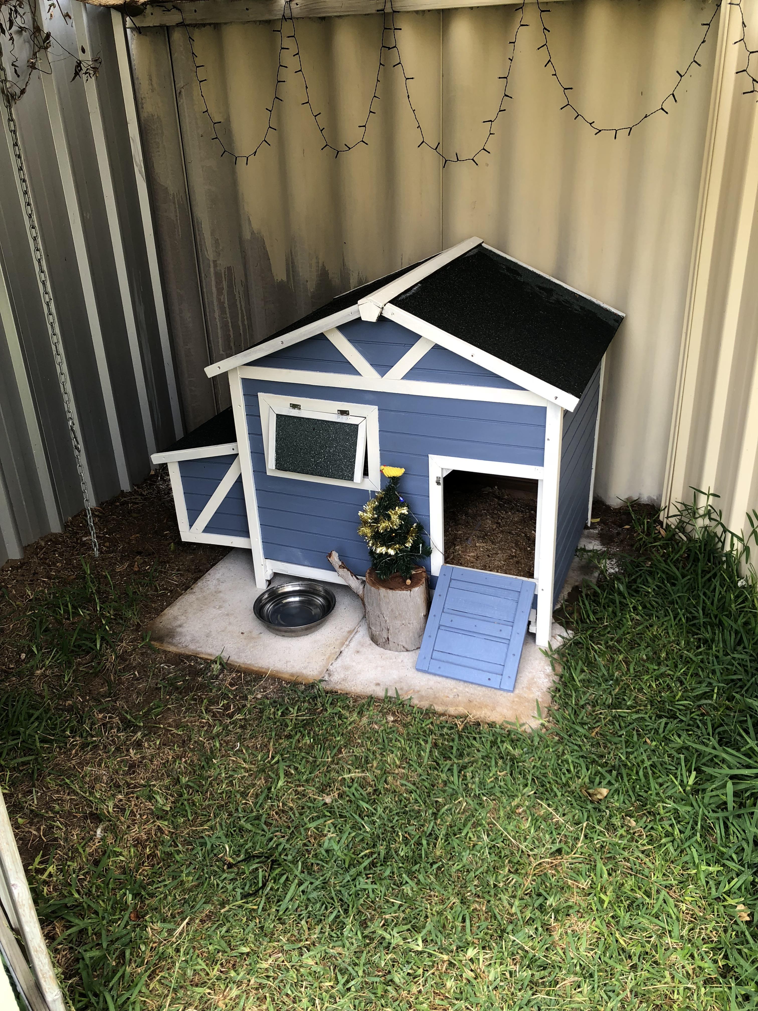 Gave the hen house a paint job! r/BackYardChickens