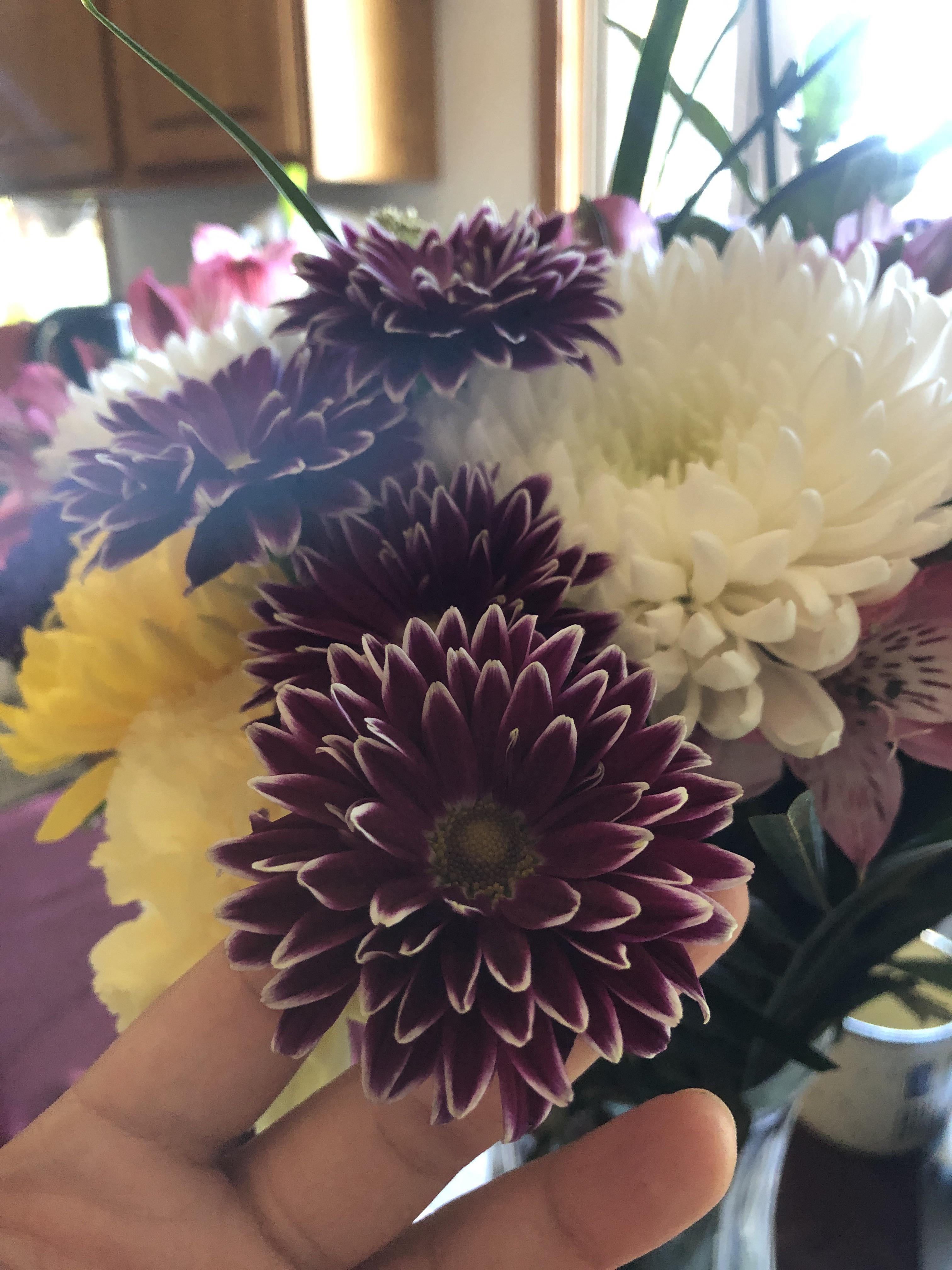 This pretty flower in a Costco bouquet? I love it! r/whatsthisplant
