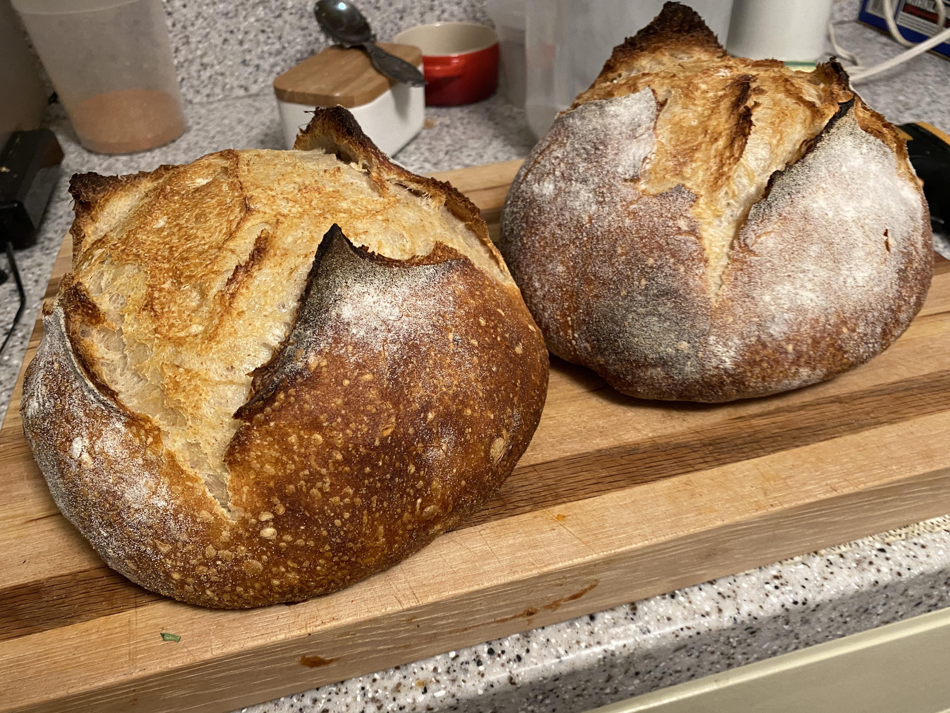 24hr refrigerated rise. Dutch oven, home convection oven, sourdough