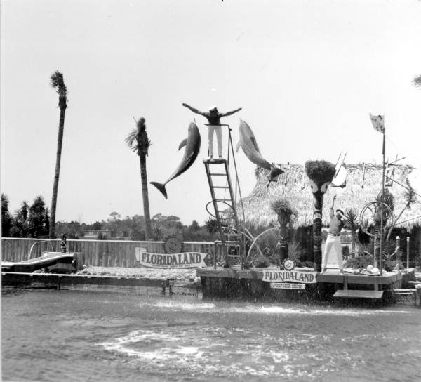 Floridaland's dolphin show attraction Osprey, Florida (March 1966