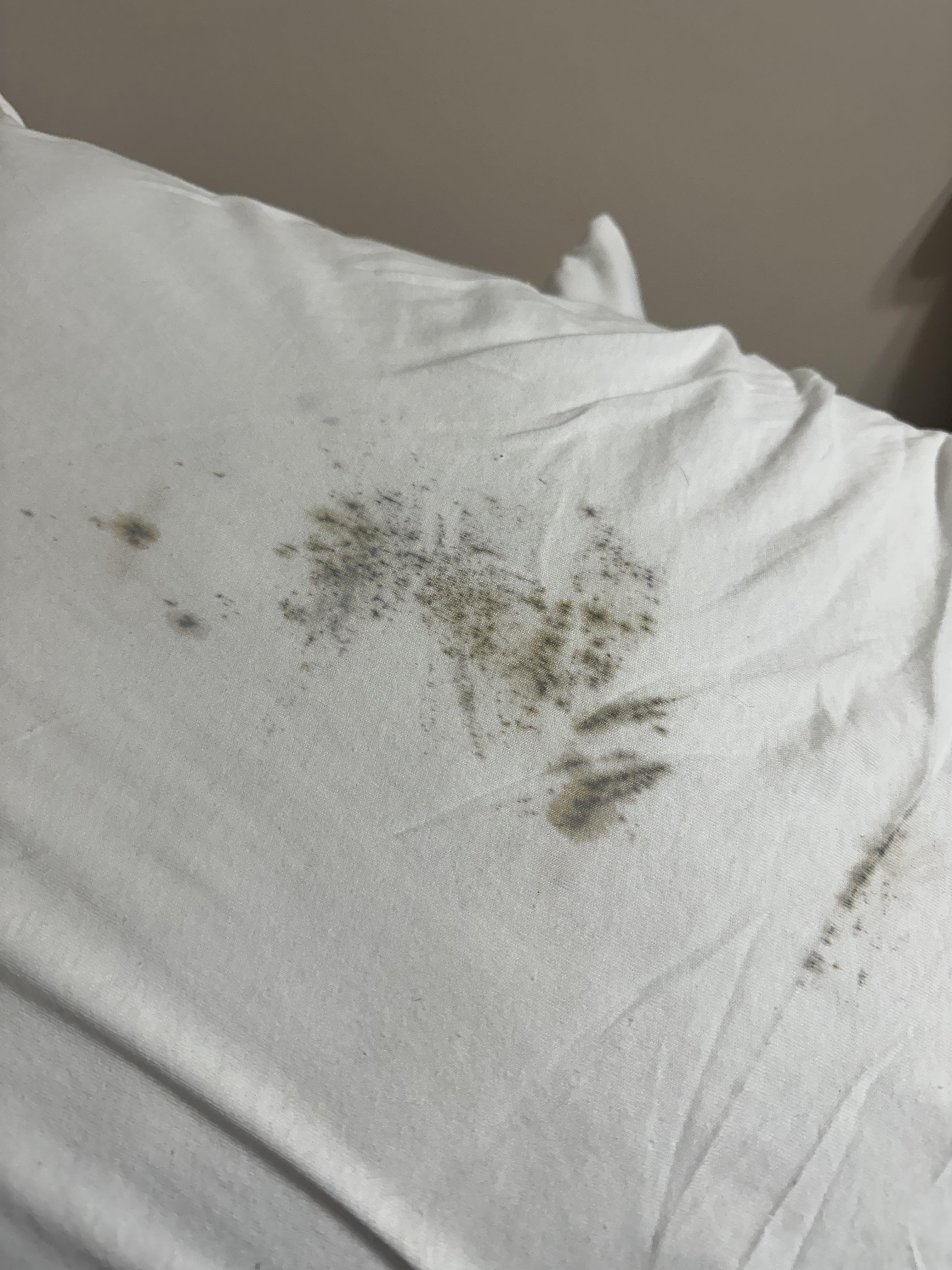 what is this stain on my pillow? r/Whatisthis