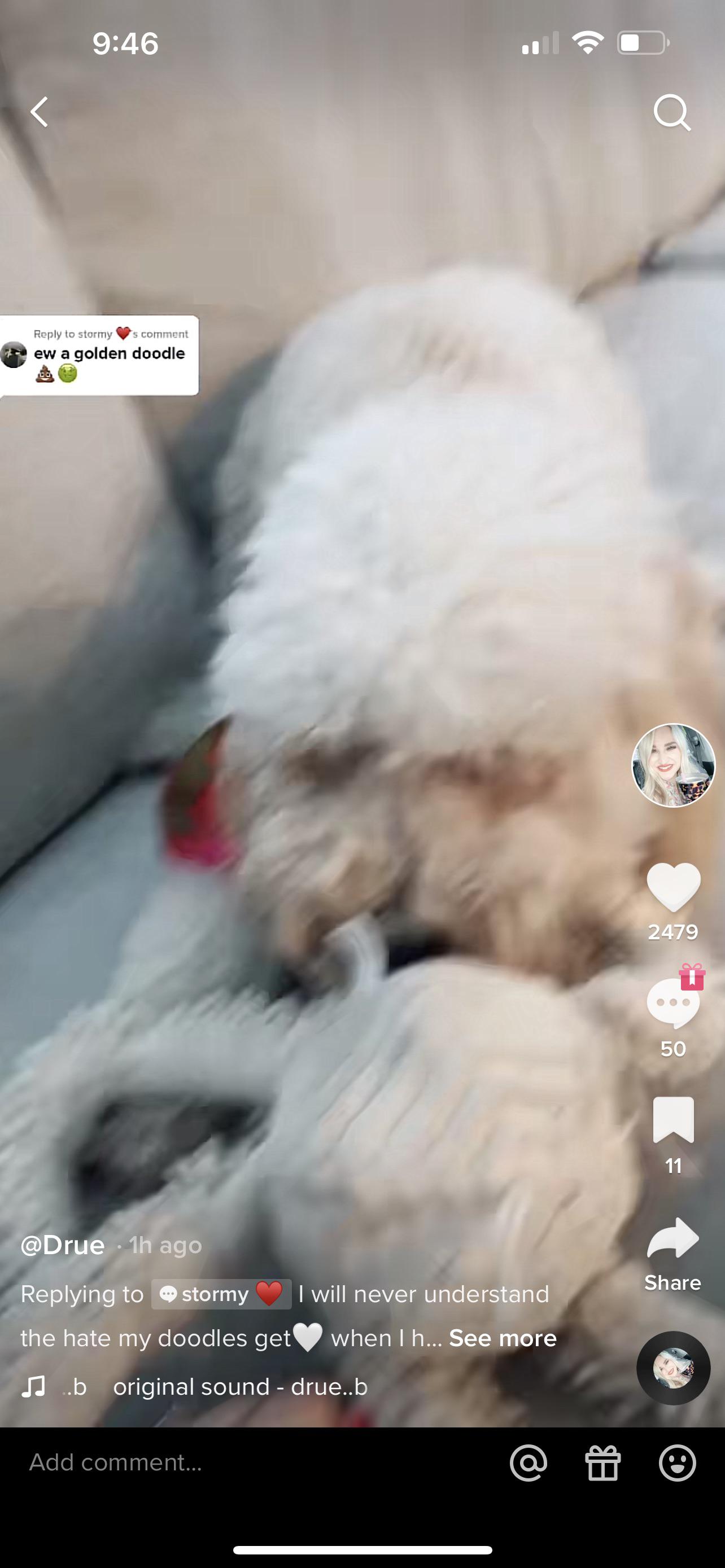 *people call her out for supporting dog breeding* “everyone