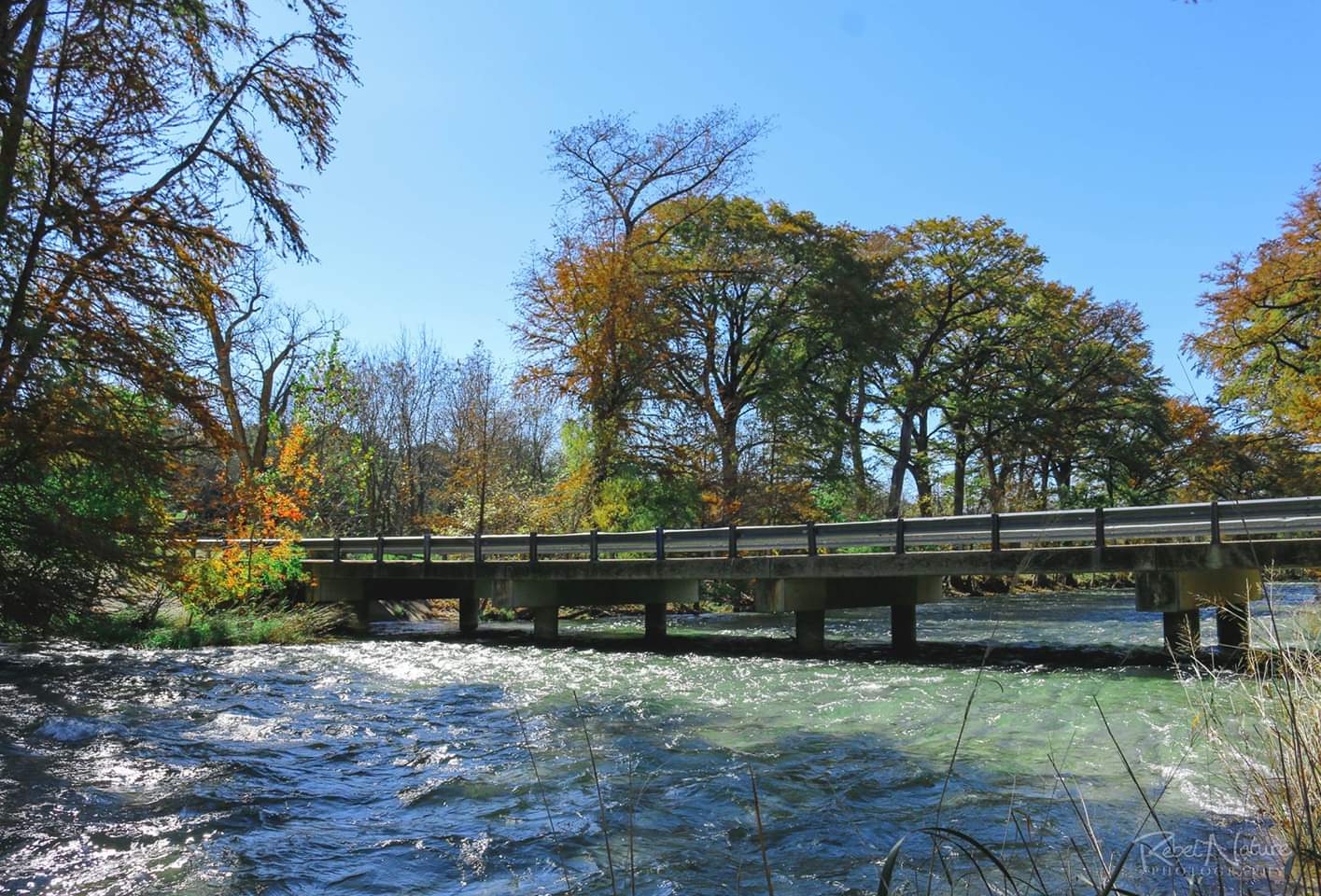Medina River Bandera, TX. r/TXoutdoors