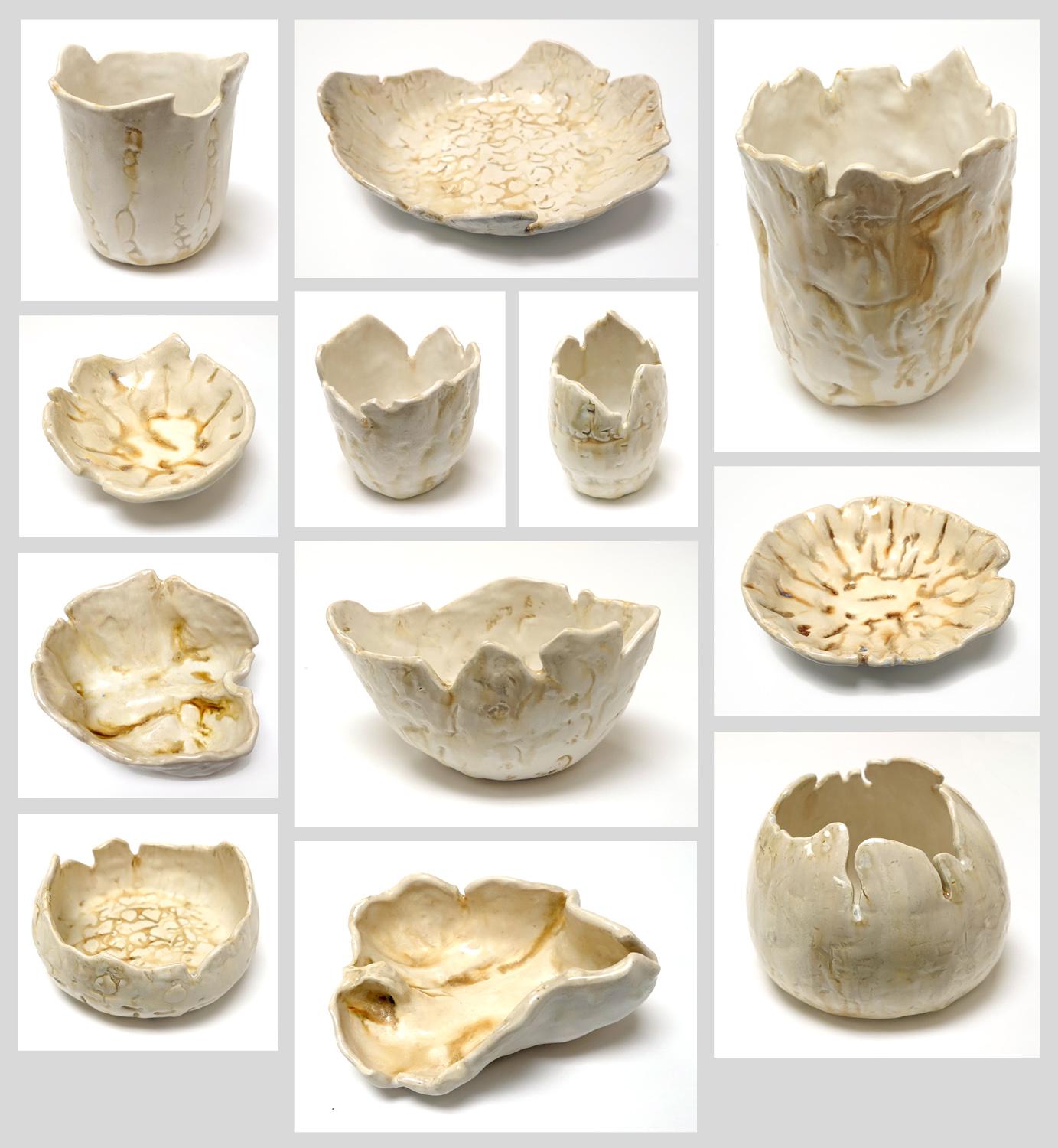 My veterinary artist residency ceramic collection Skeletal Ceramics