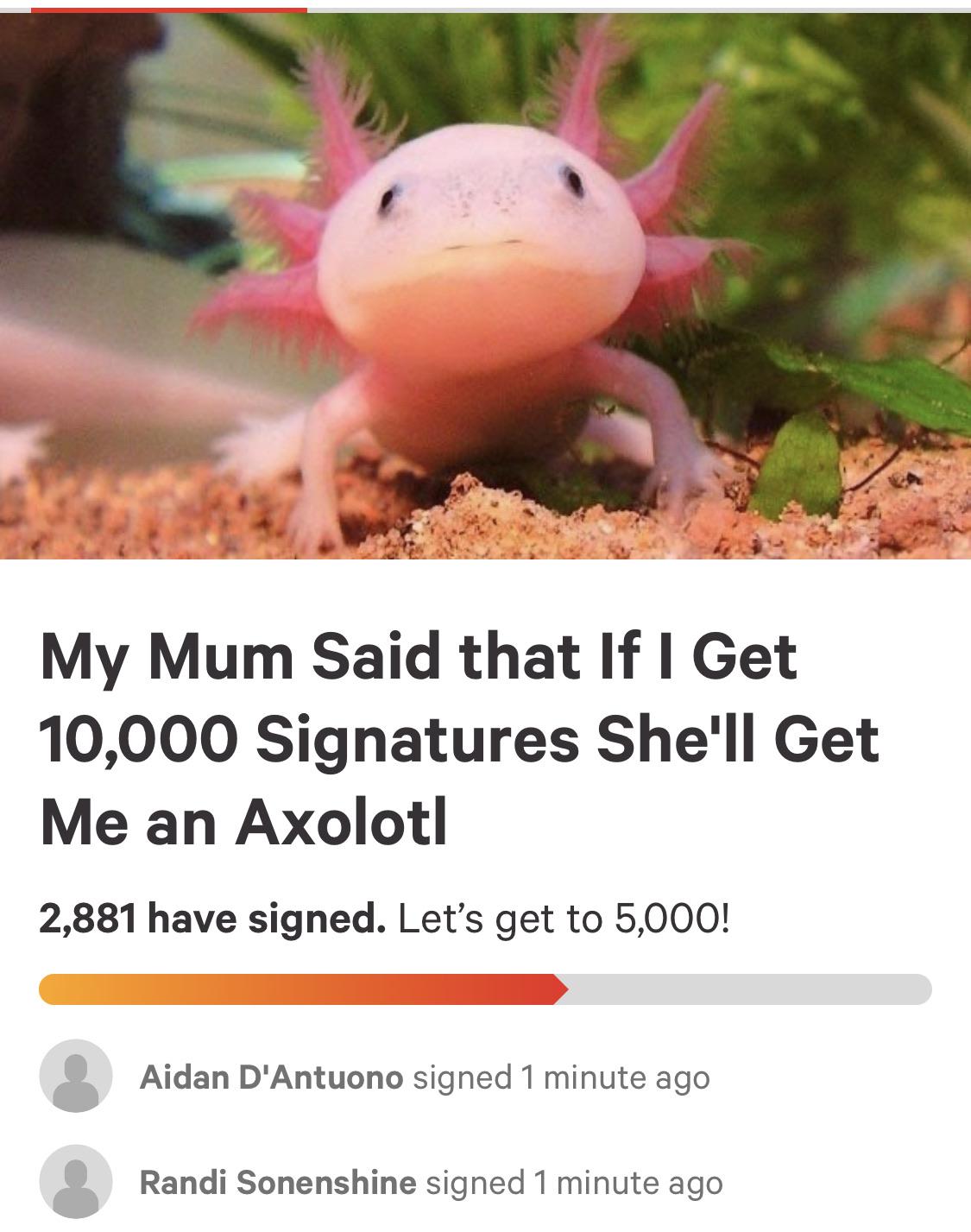 get this man an axolotl! r/memes