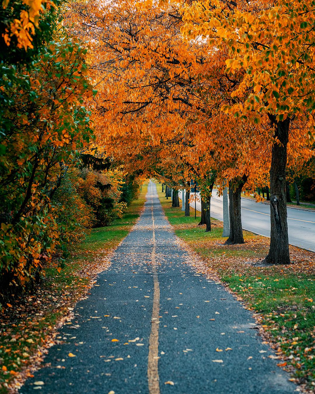 Experimental Farm r/ottawa