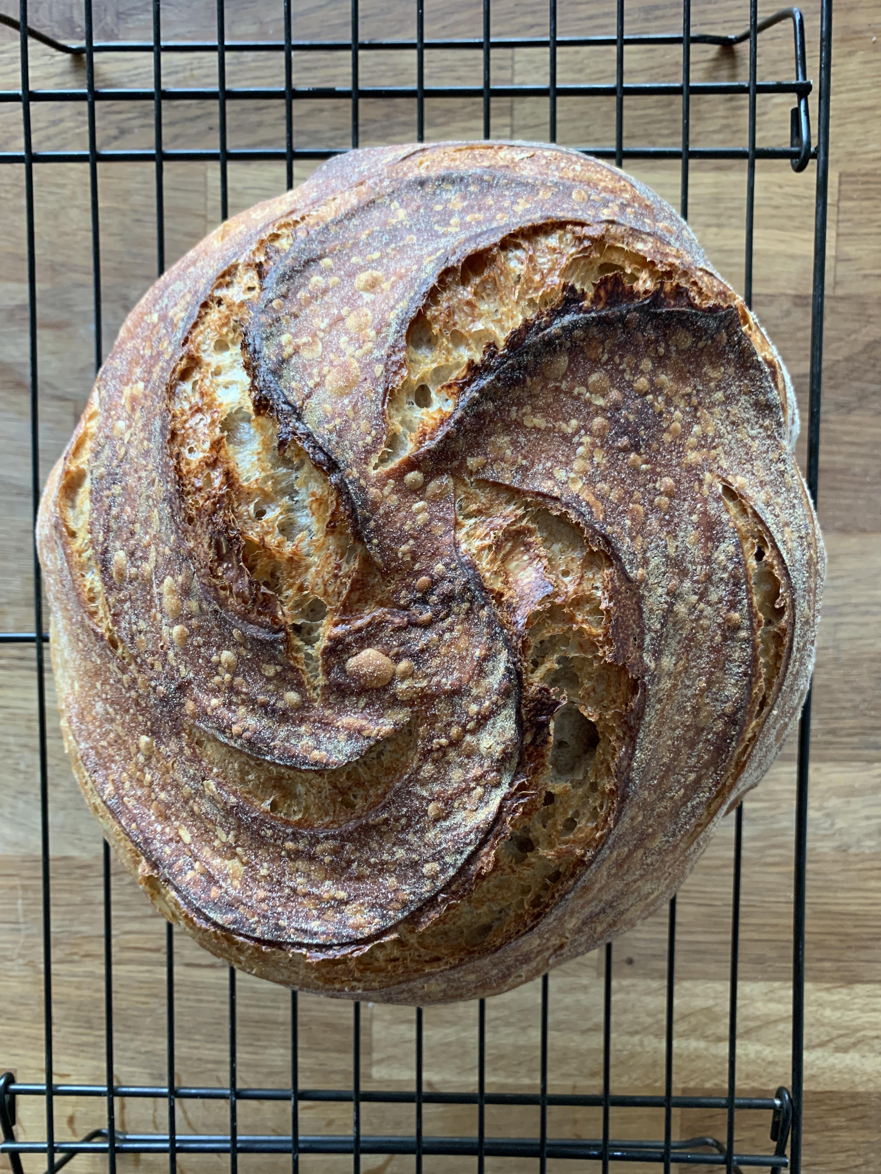 Rice flour in the seems to bring out all the blisters! 🤩 r/Sourdough