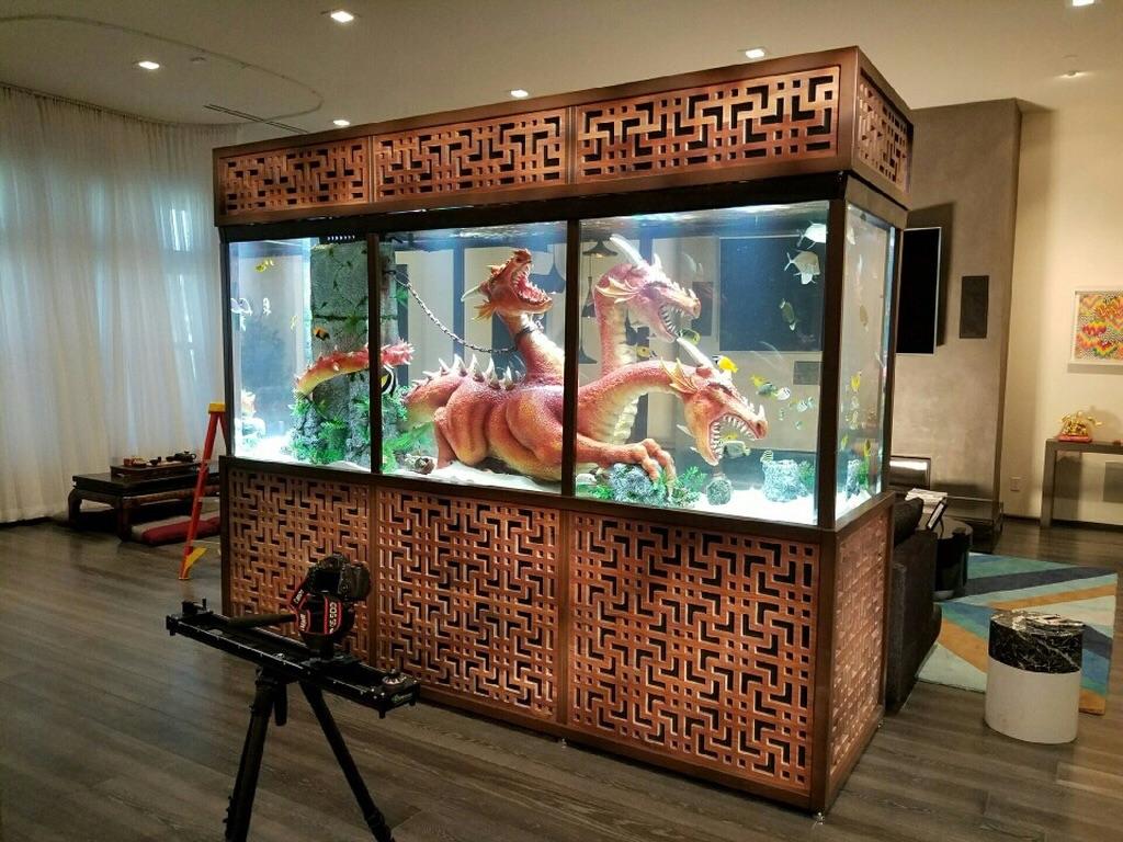 Steve Aoki's custom fish tank that was featured on television r