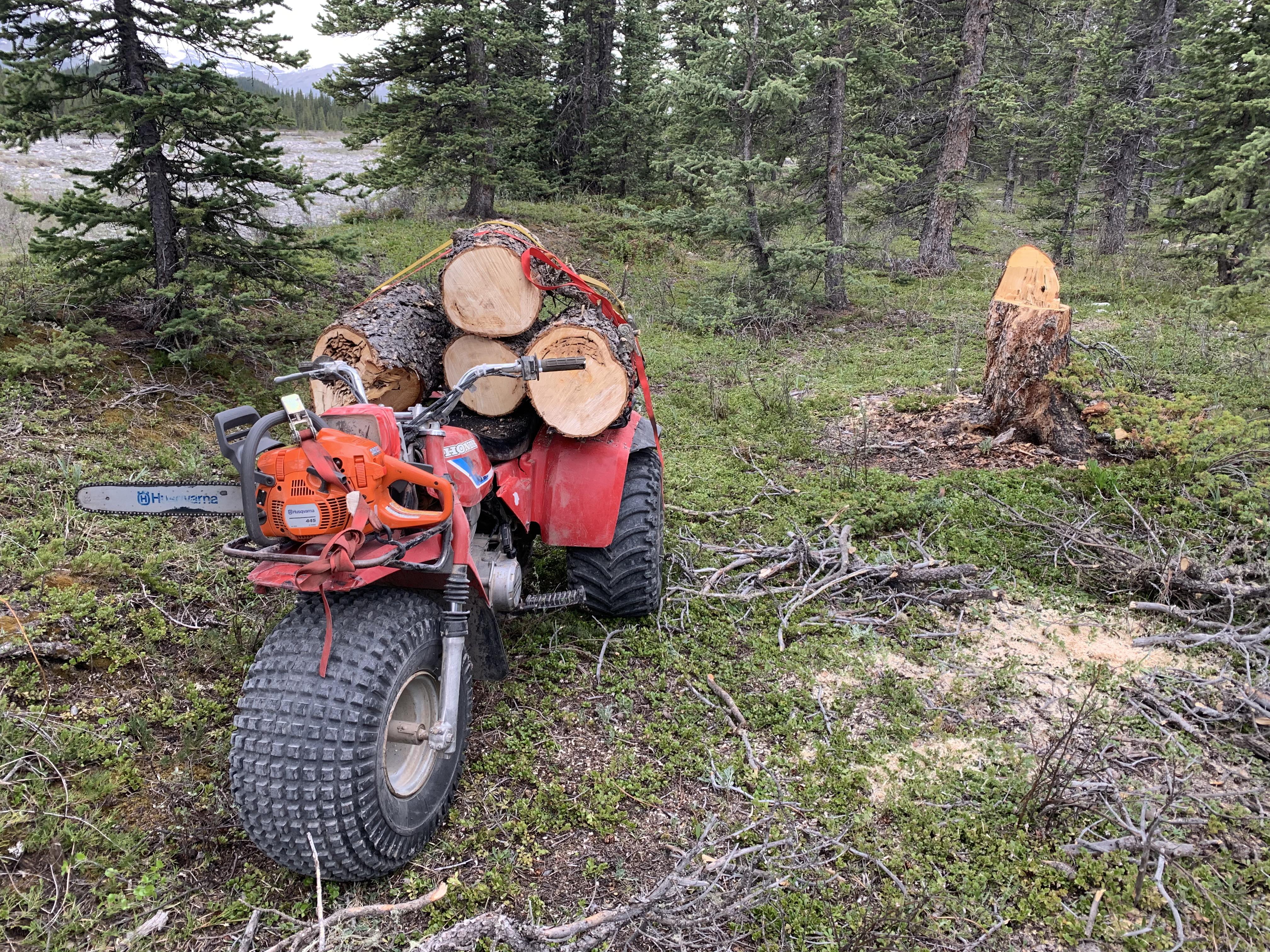 Put old Smokey back to work this weekend. r/ATV