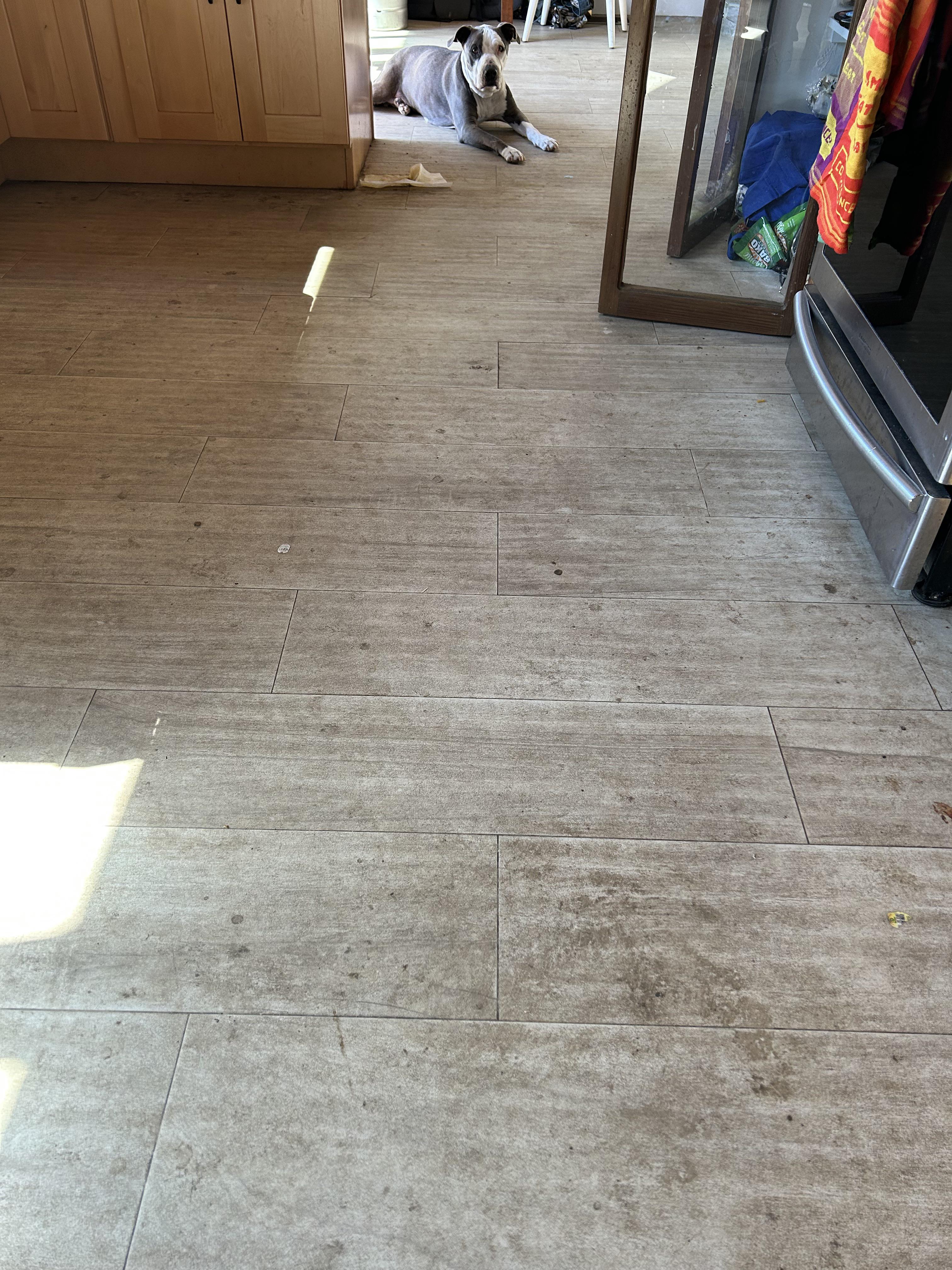 This is my floor in just 2 weeks. Whats the best electric/steam mop i