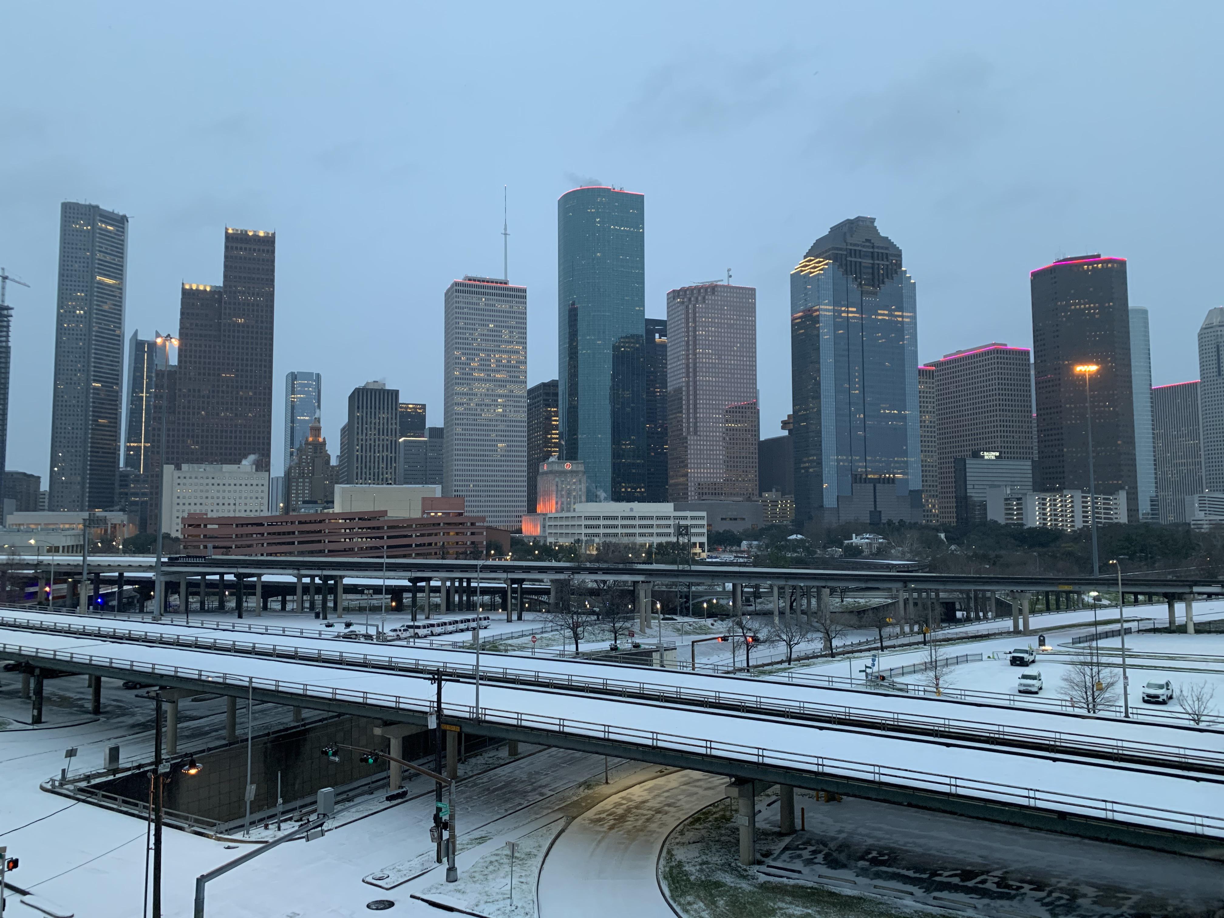 Winter In Houston 2024 Diana Filippa