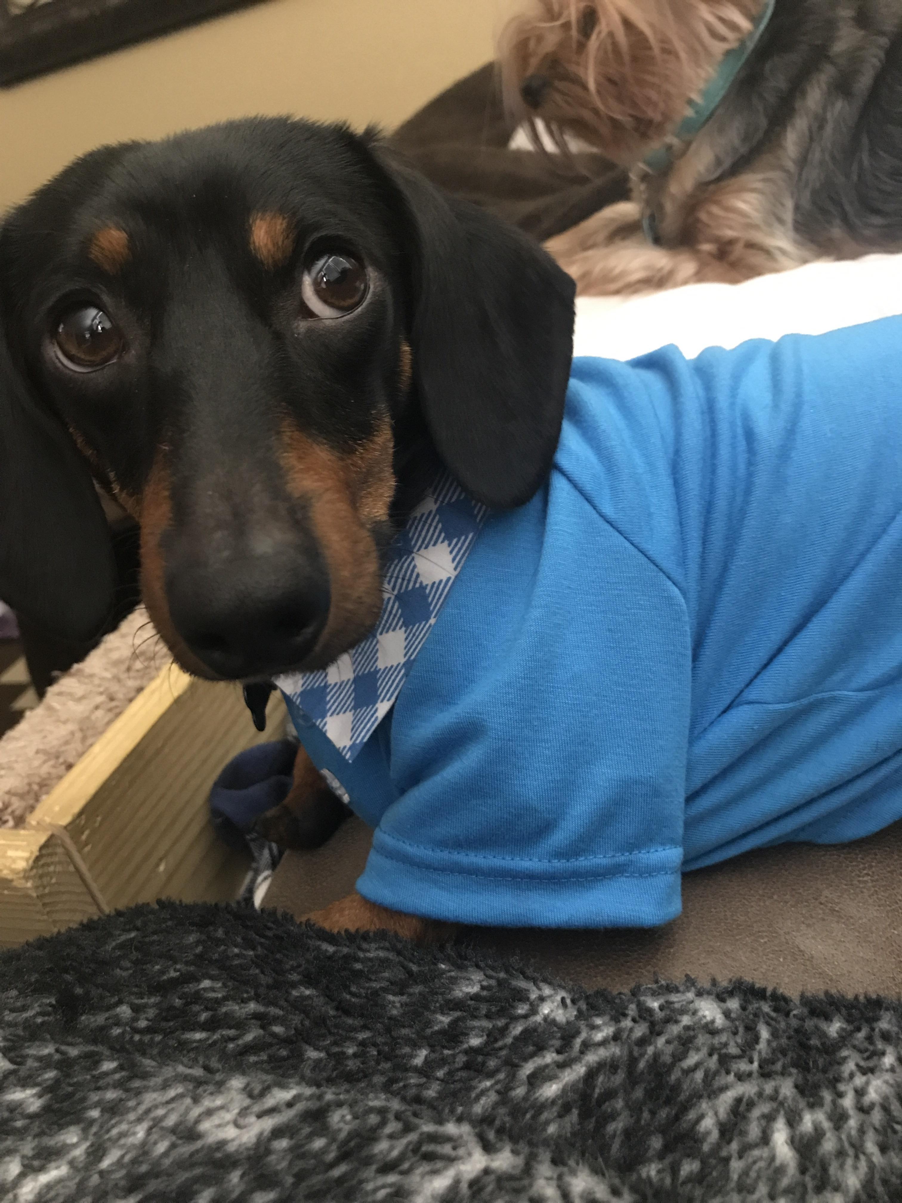 The only shirt I’ve ever bought Brutus and it didn’t fit! Anyone know