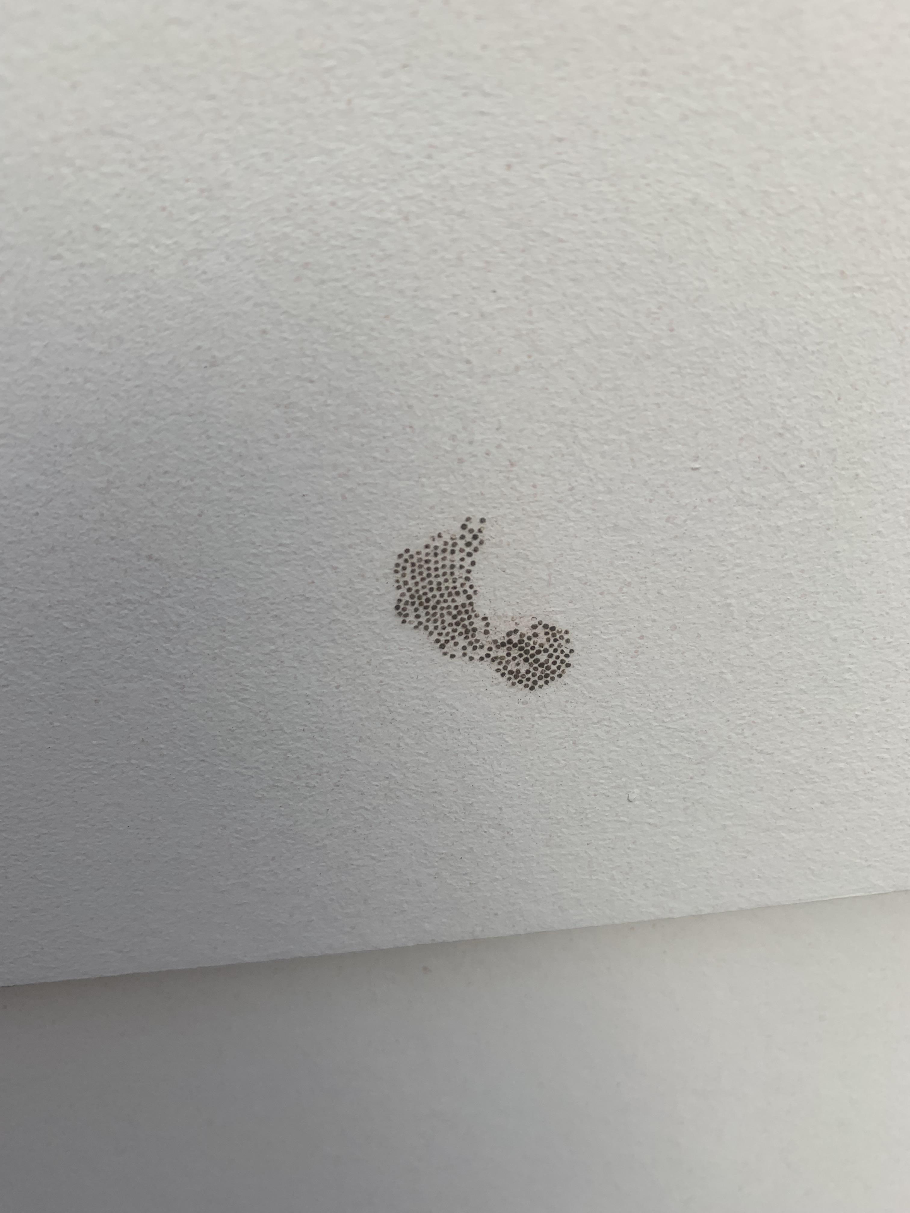 Strange dots on various spots of home siding r/whatisthisthing