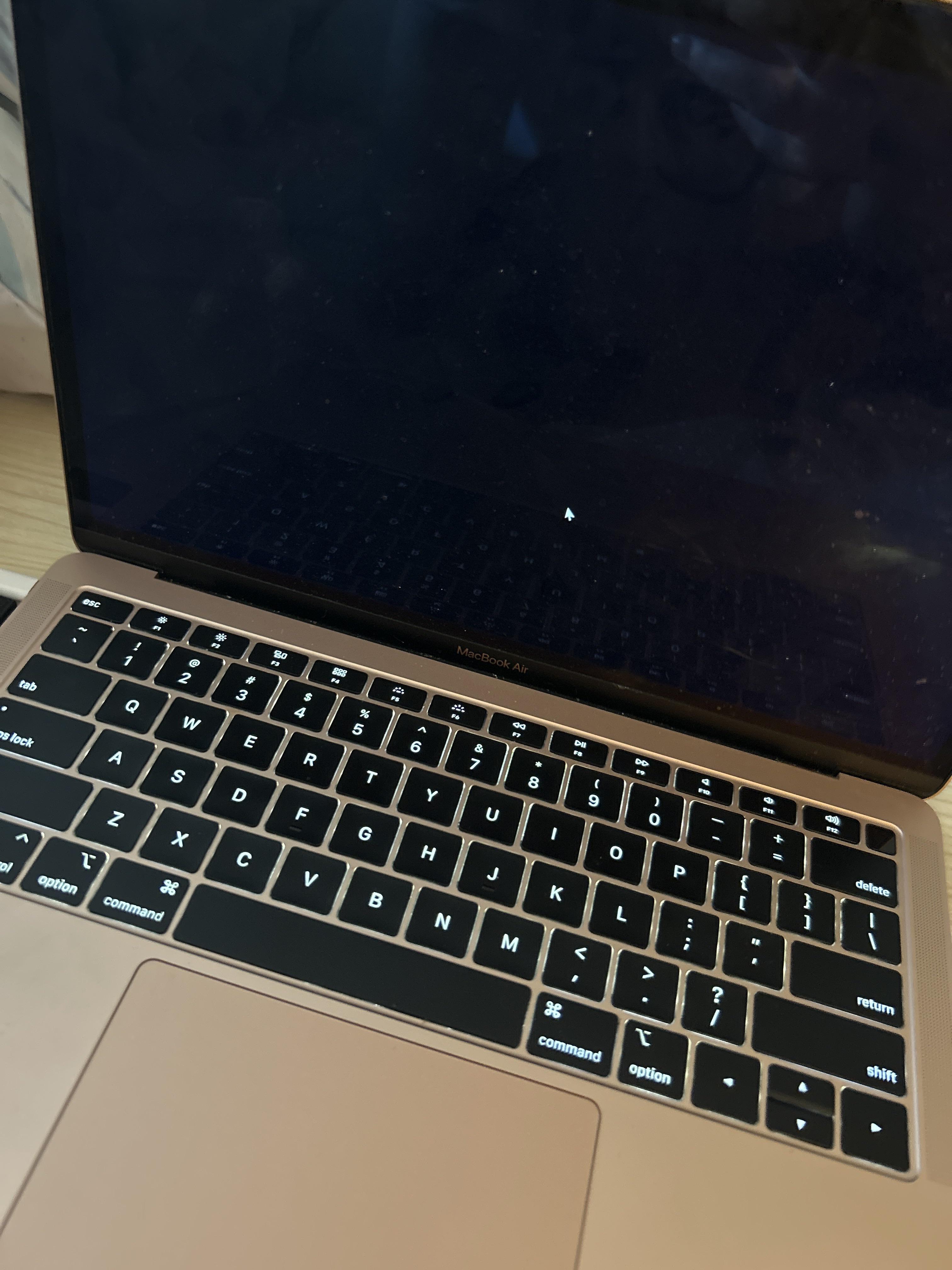Black Screen Mac via Bootcamp r/Palia