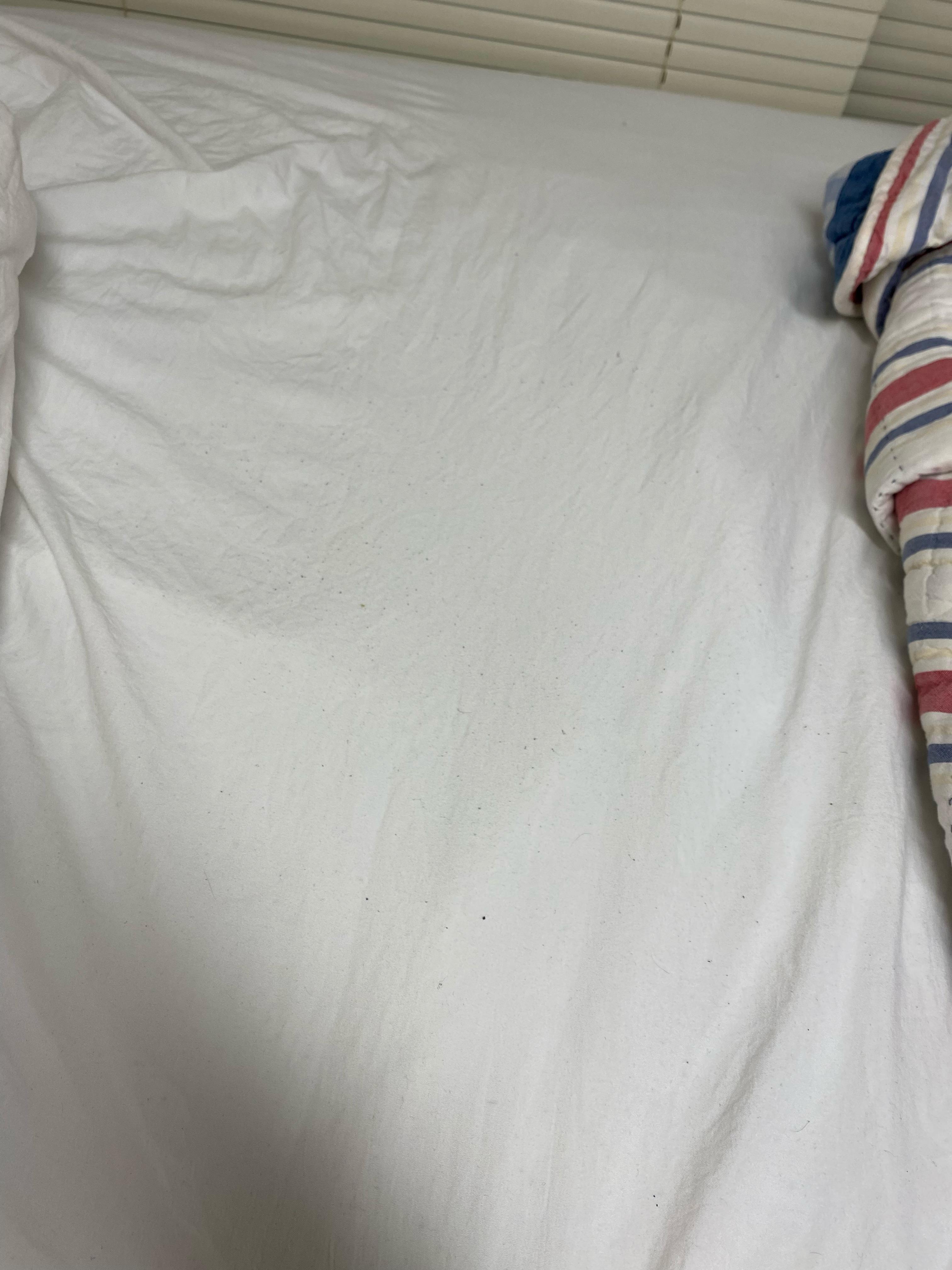I have these little dots on my bed on one side and they feel like