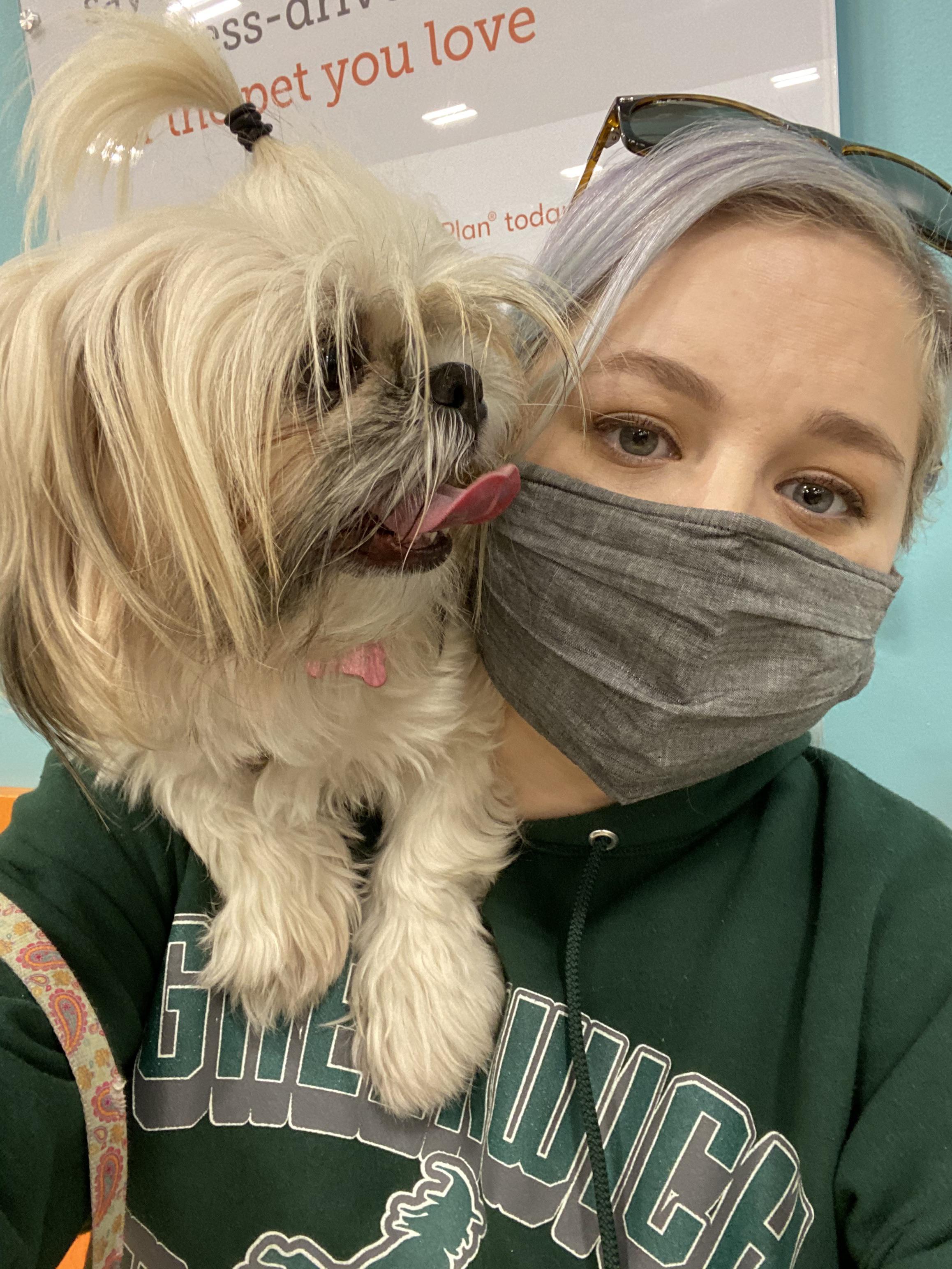 Marceline being a parrot while waiting for the vet. r/Shihtzu
