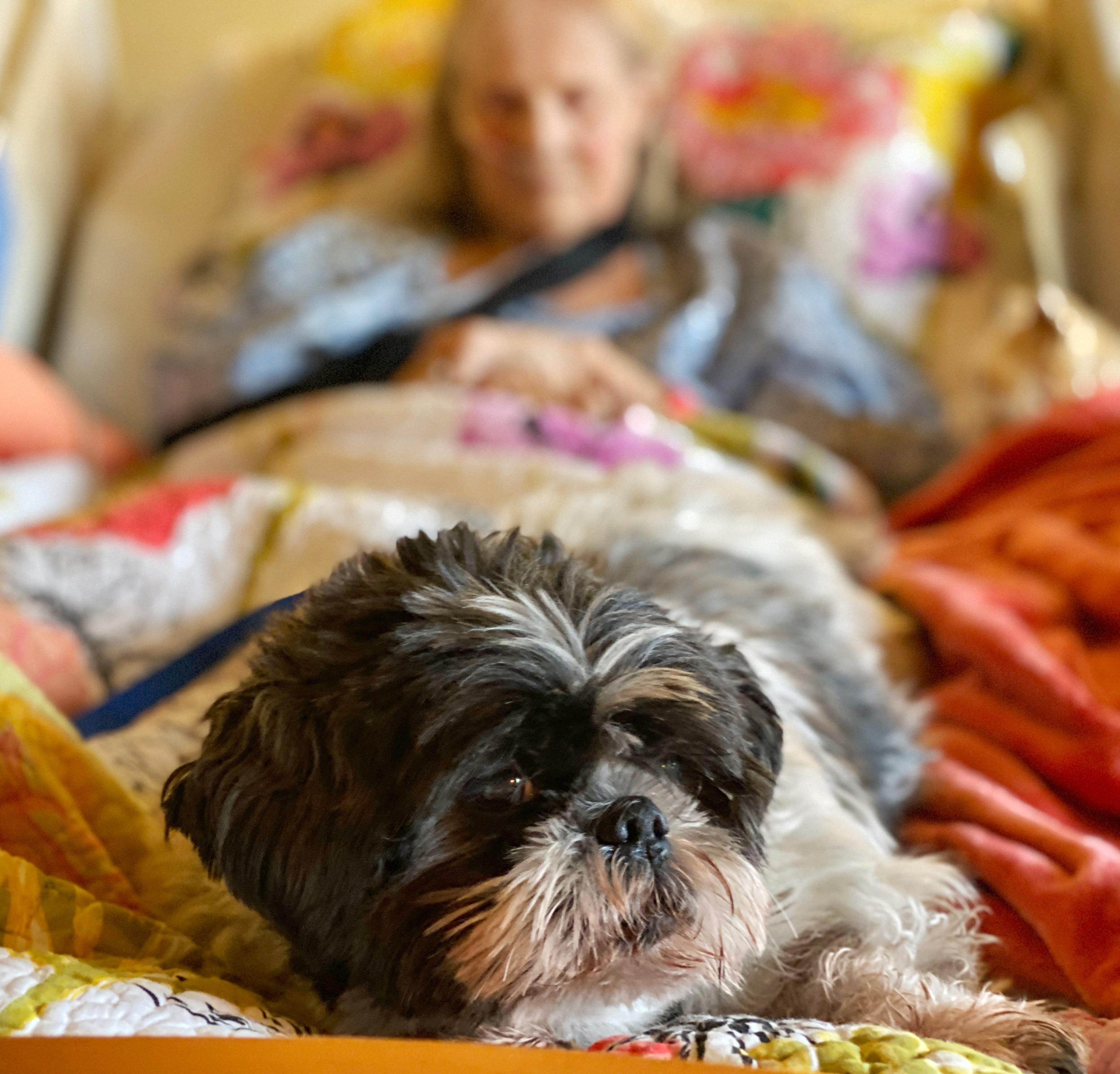 Hospice let me bring my mom’s beloved dog to see her. It was so amazing